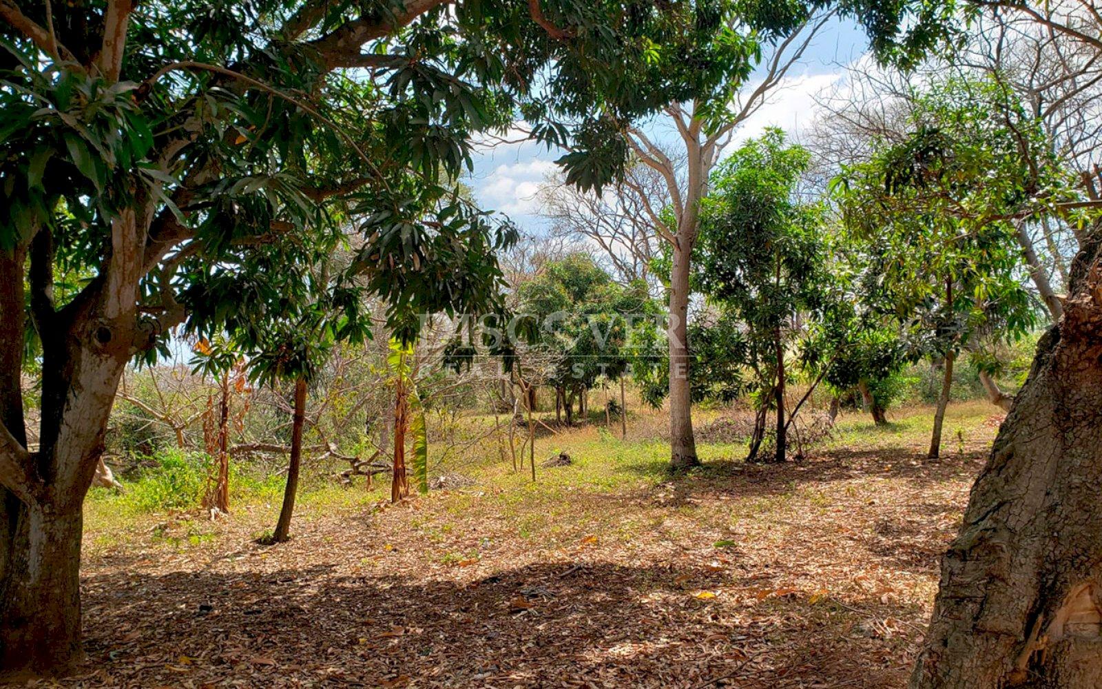 https://images.discovernica.com/propiedad/1600/ID13662_2.jpg