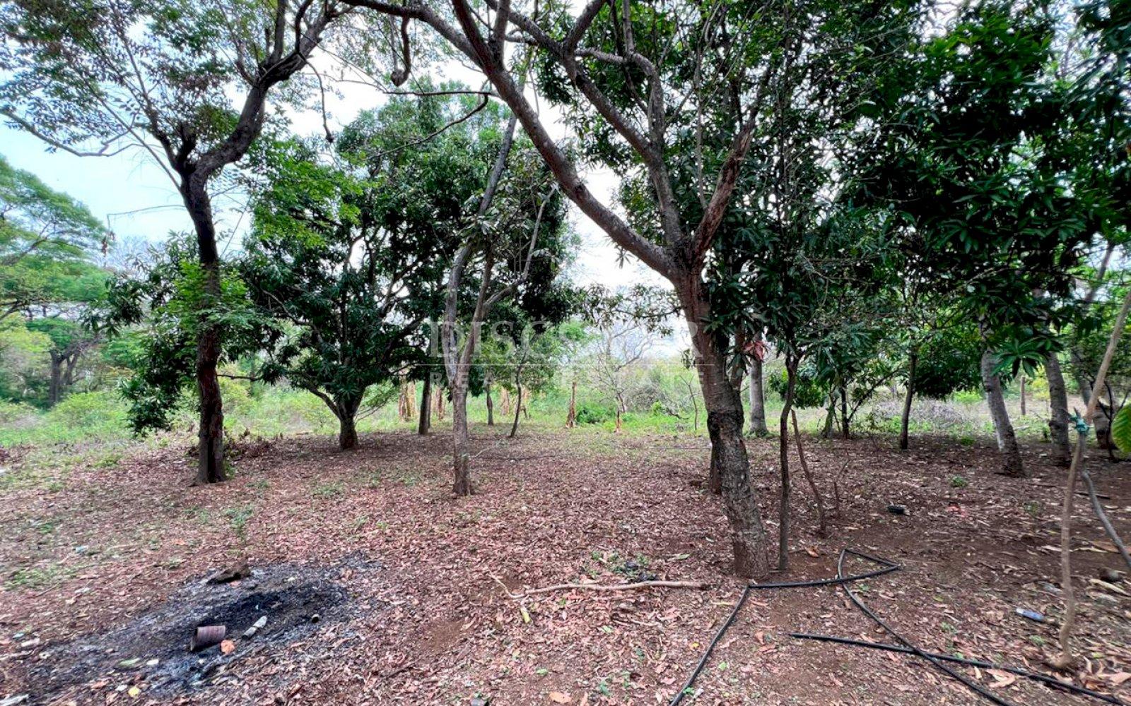 https://images.discovernica.com/propiedad/1600/ID13662_4.jpg