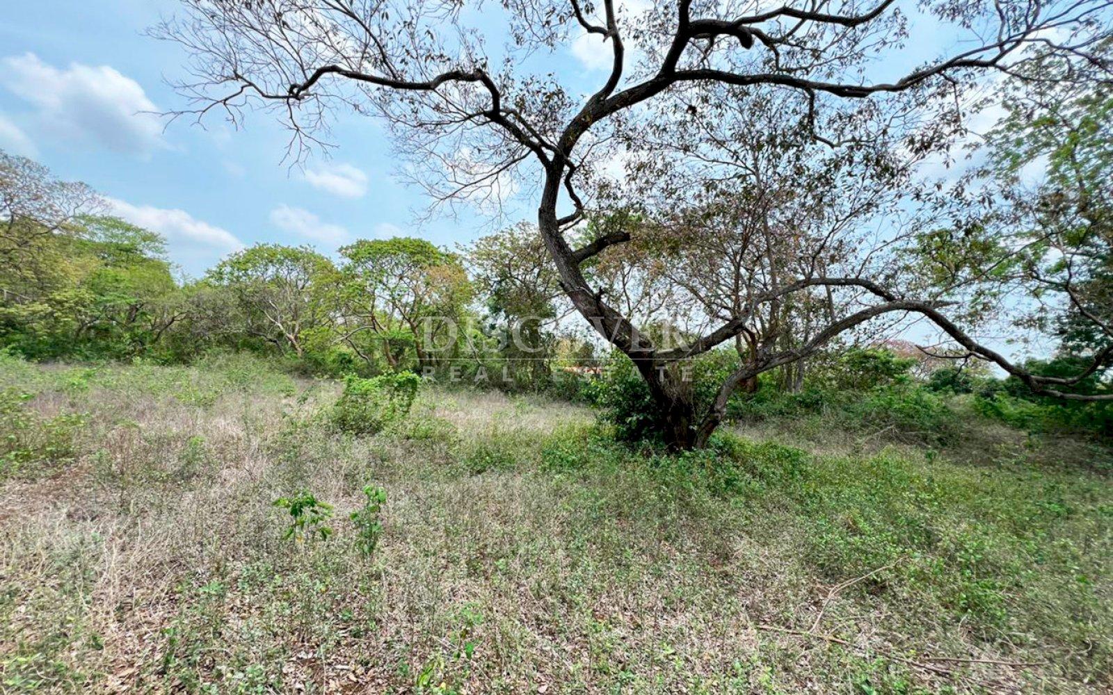 https://images.discovernica.com/propiedad/1600/ID13662_5.jpg
