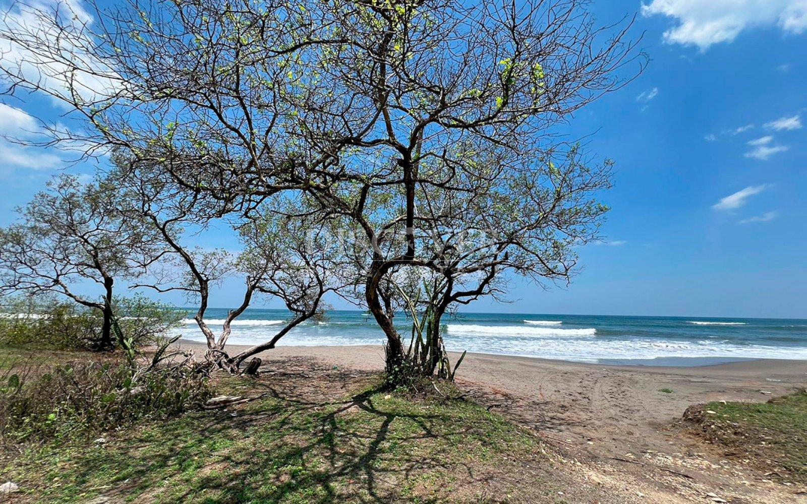 Imagen 2 de la galería