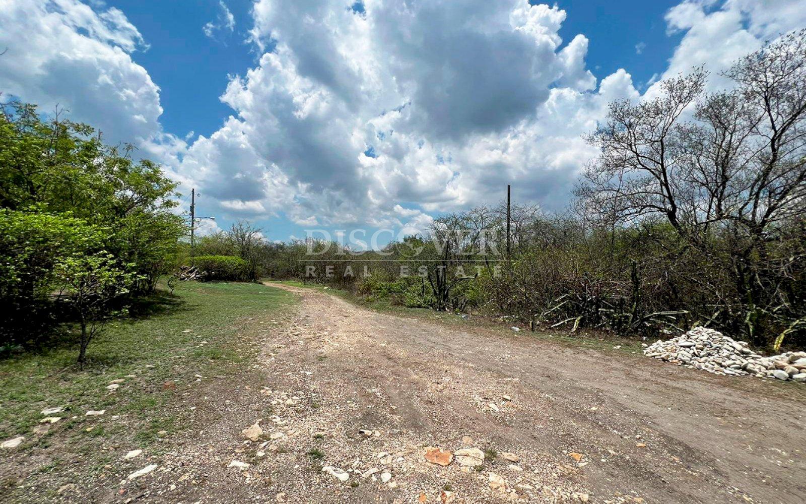 Imagen 4 de la galería