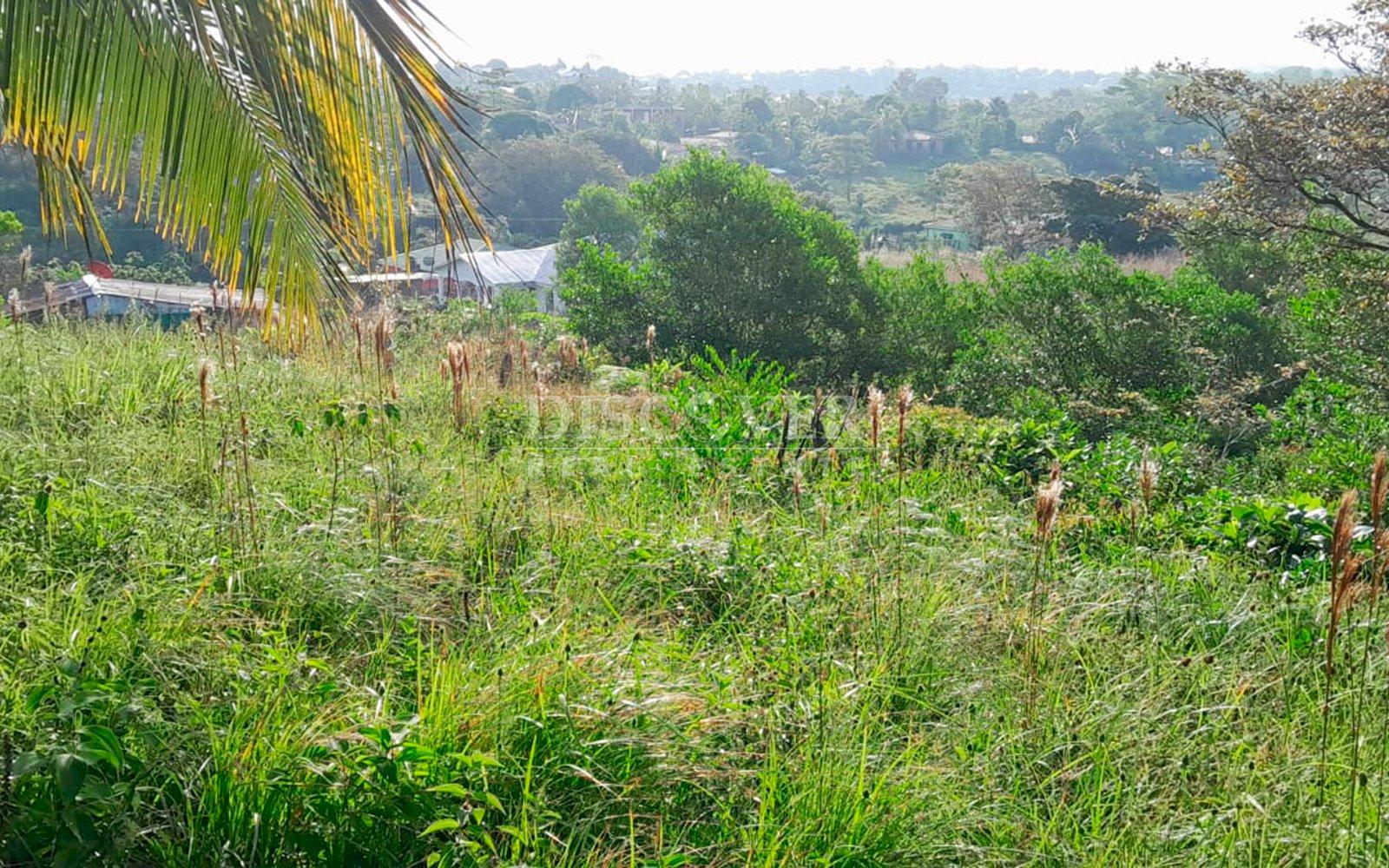 https://images.discovernica.com/propiedad/1600/ID13679.jpg