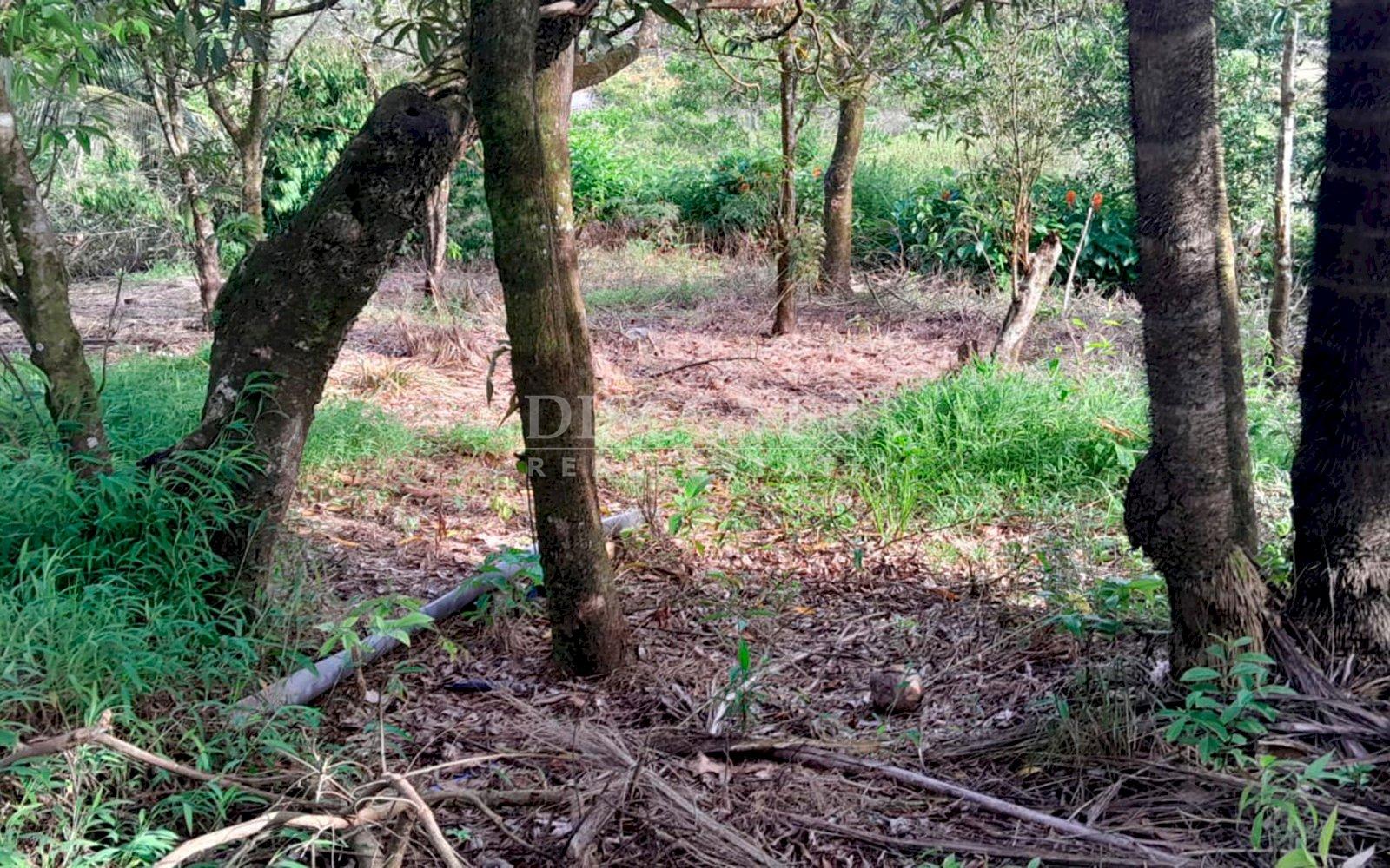 https://images.discovernica.com/propiedad/1600/ID13679_1.jpg
