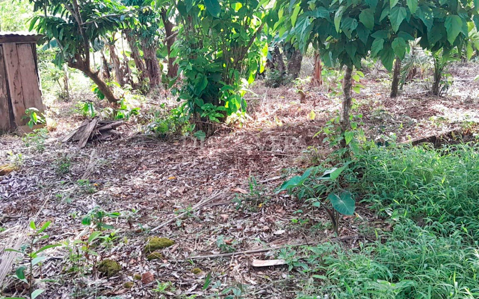 https://images.discovernica.com/propiedad/1600/ID13679_2.jpg