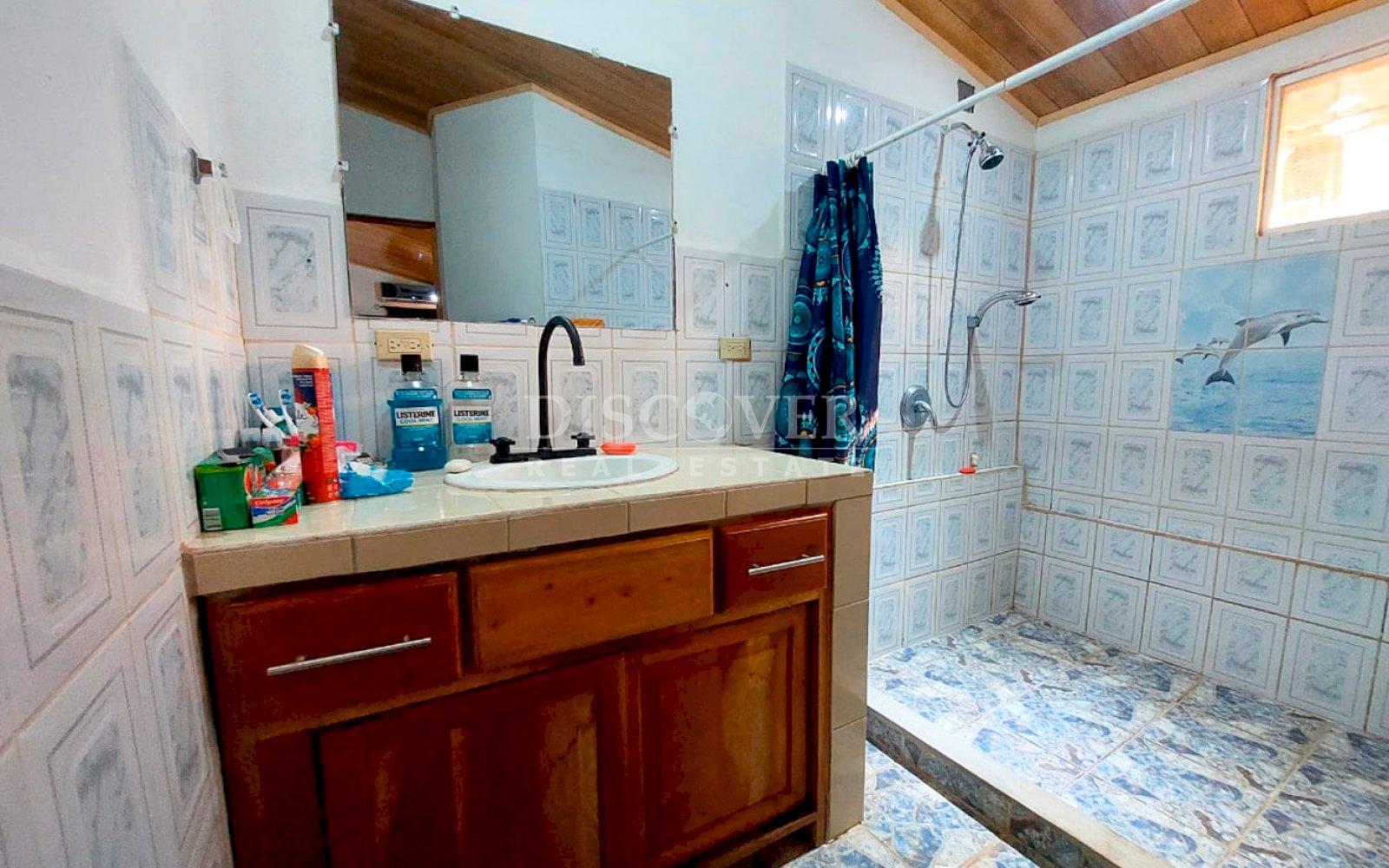  House with large land for sale - Granada