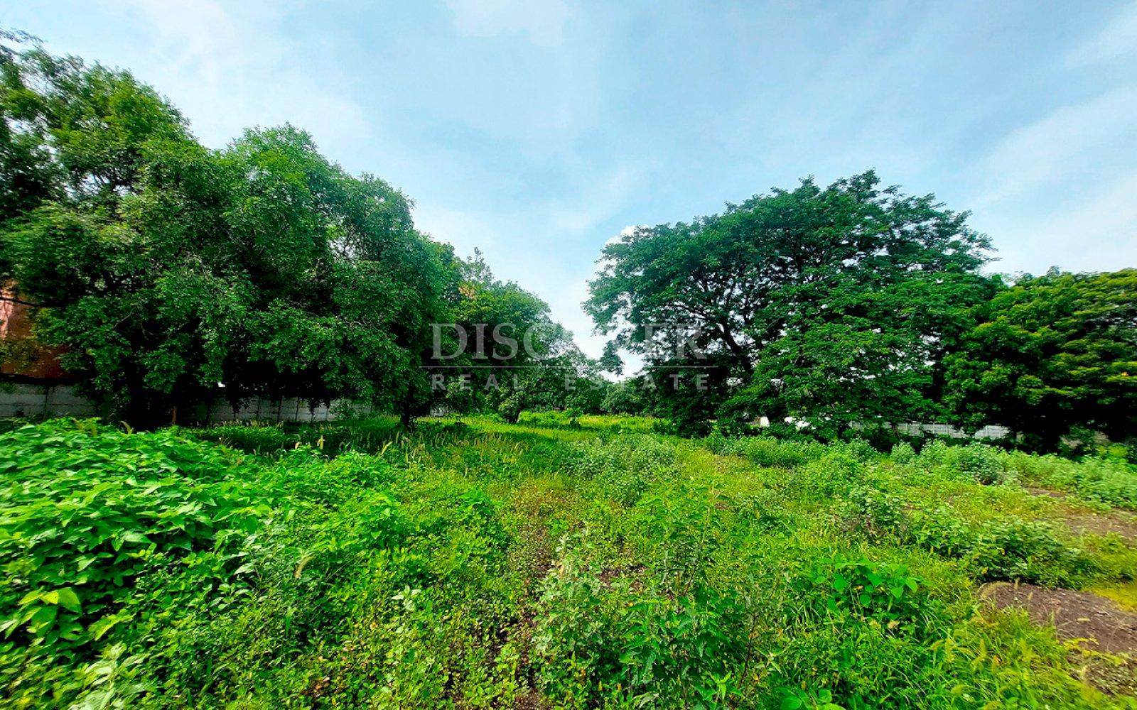 https://images.discovernica.com/propiedad/1600/ID13686_4.jpg