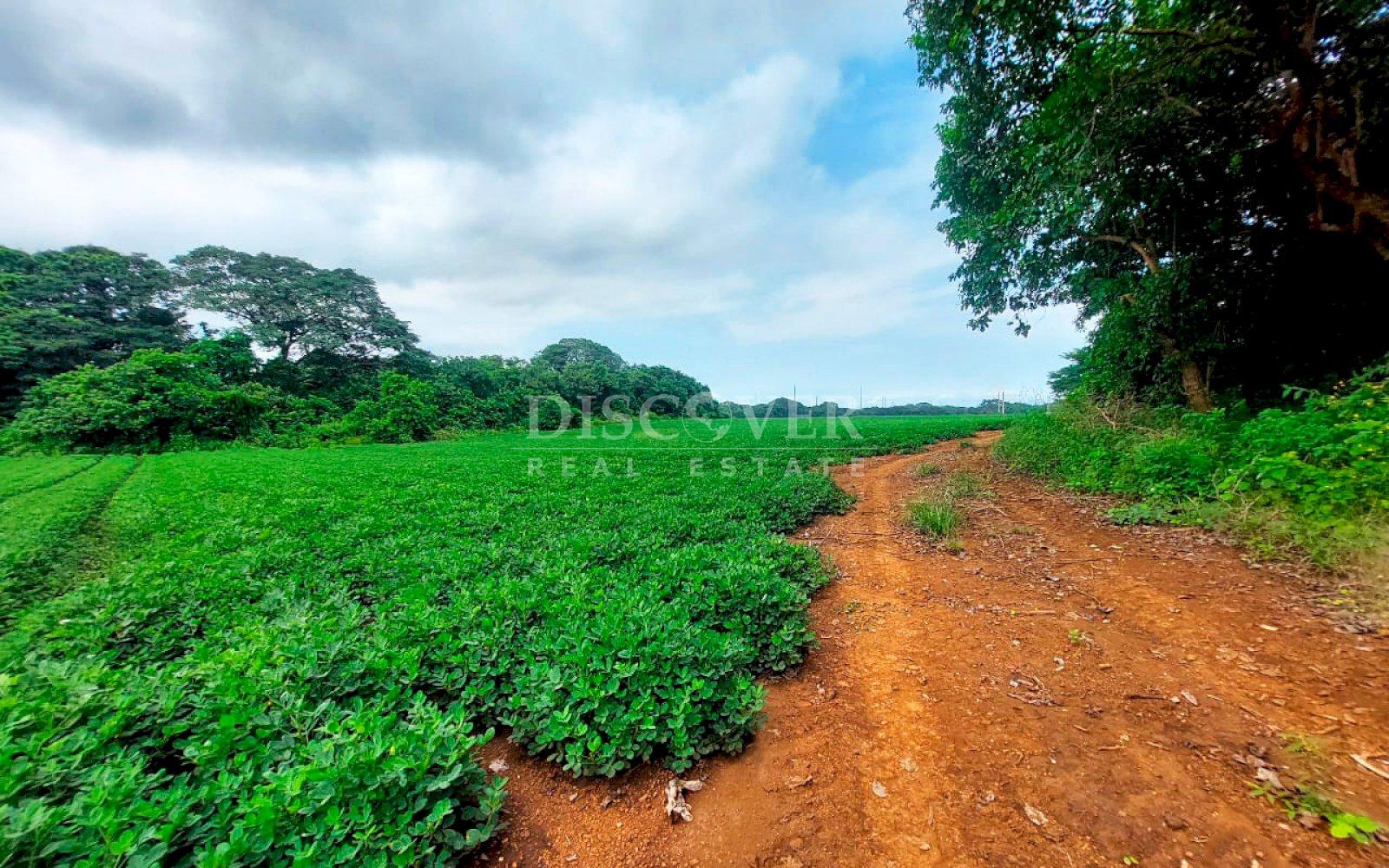 https://images.discovernica.com/propiedad/1600/ID13698_4_.jpg