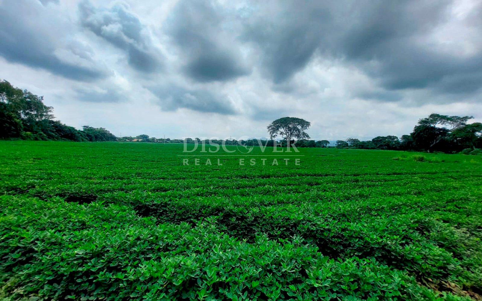 https://images.discovernica.com/propiedad/1600/ID13698_5_.jpg