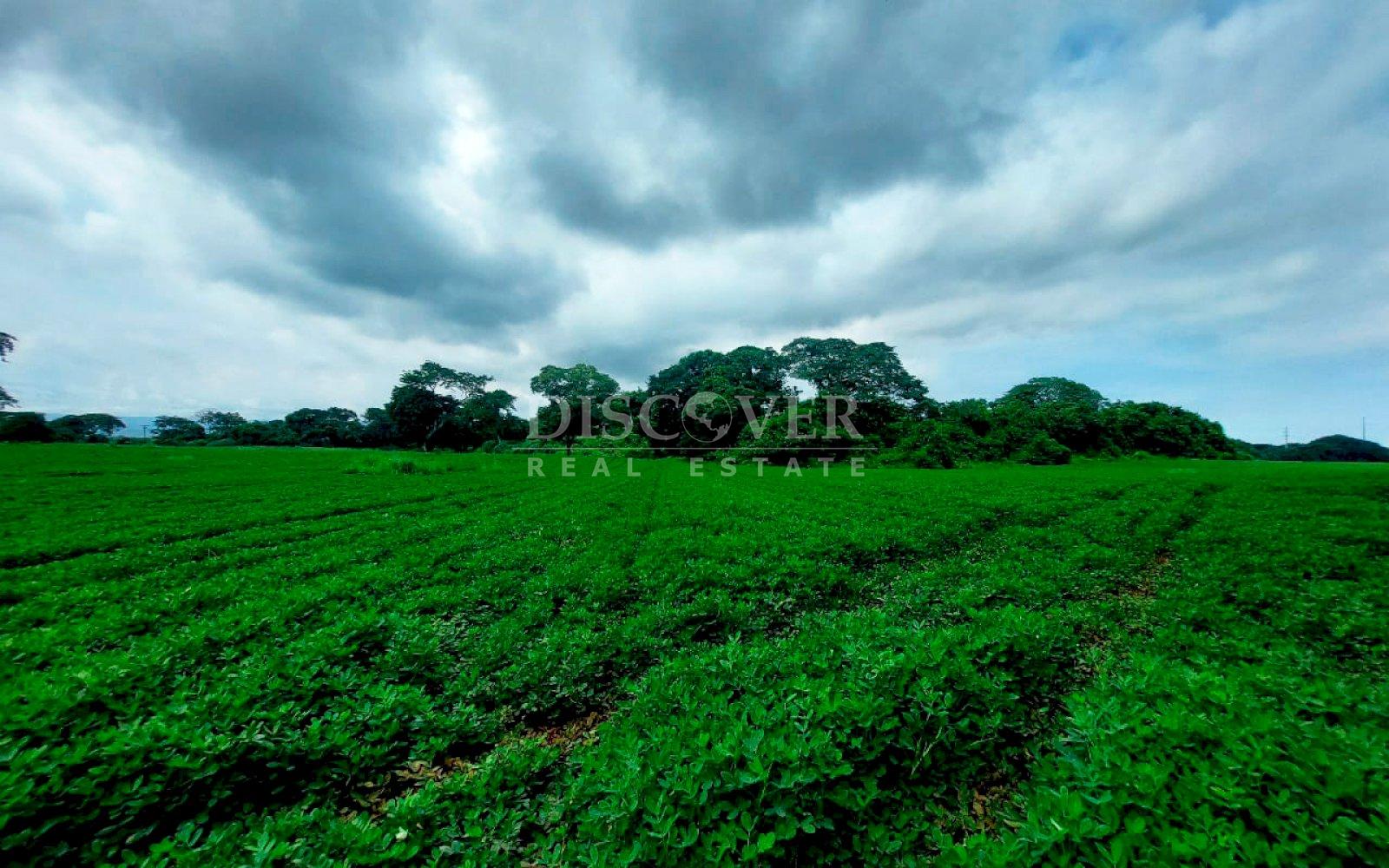 https://images.discovernica.com/propiedad/1600/ID13698_6_.jpg