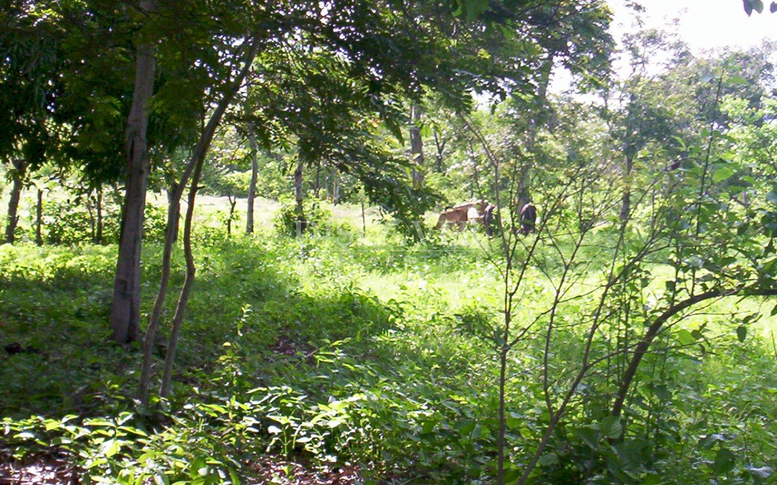 https://images.discovernica.com/propiedad/1600/ID13709.jpg