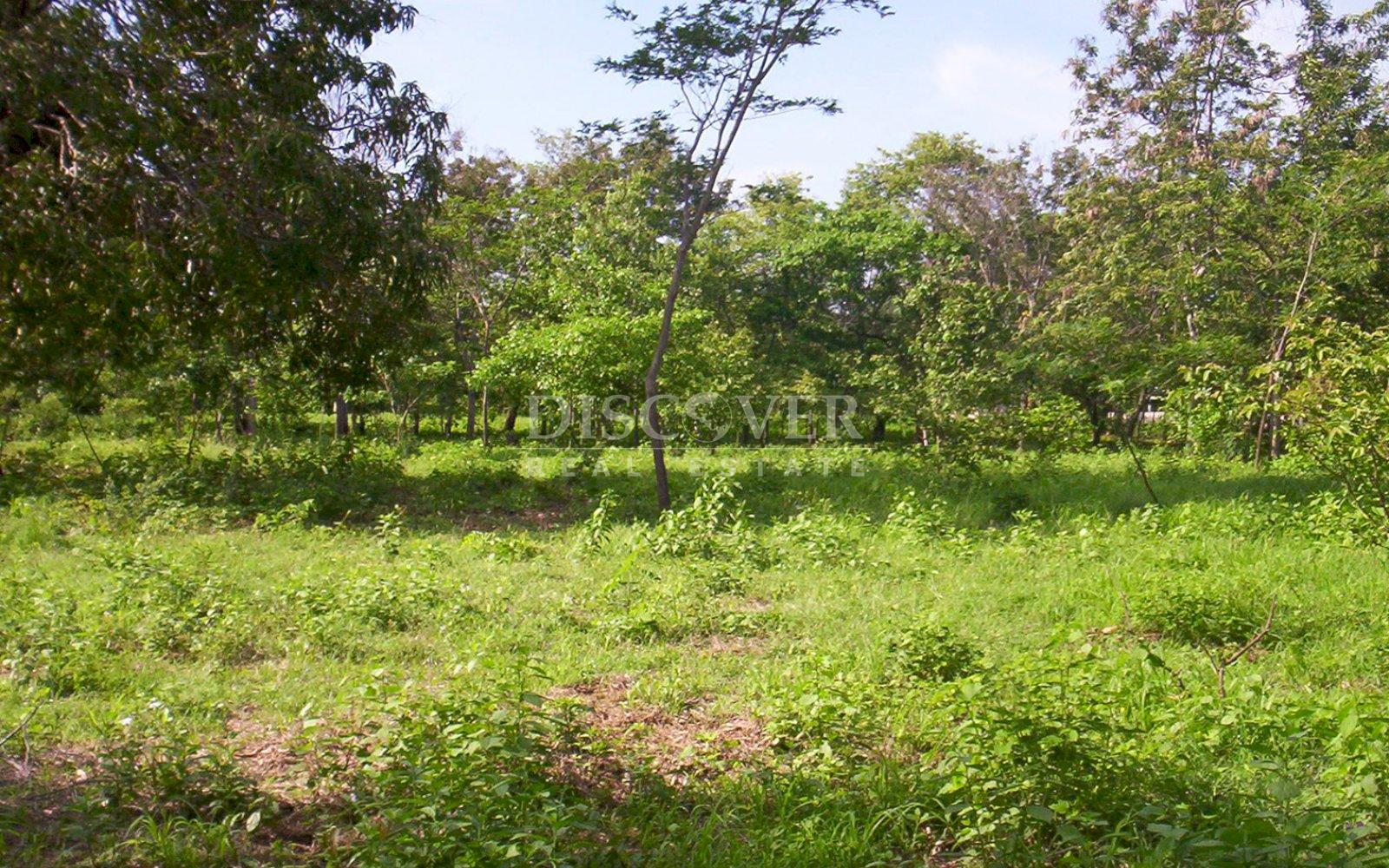 https://images.discovernica.com/propiedad/1600/ID13709_2.jpg