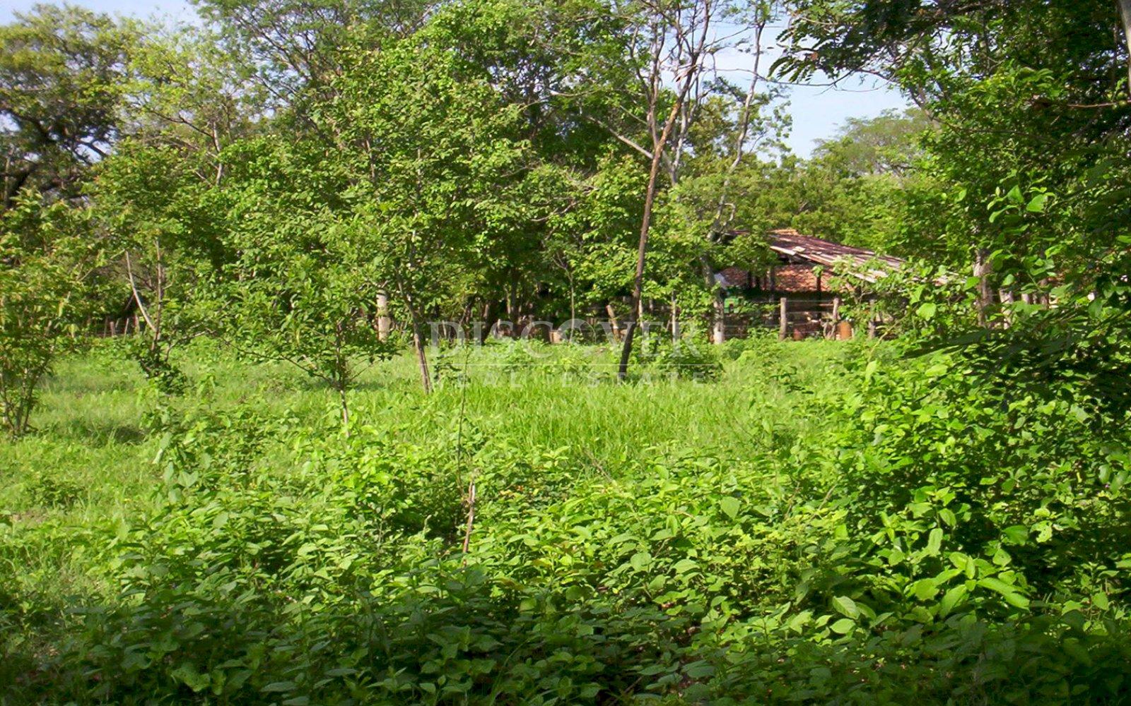 https://images.discovernica.com/propiedad/1600/ID13709_3.jpg