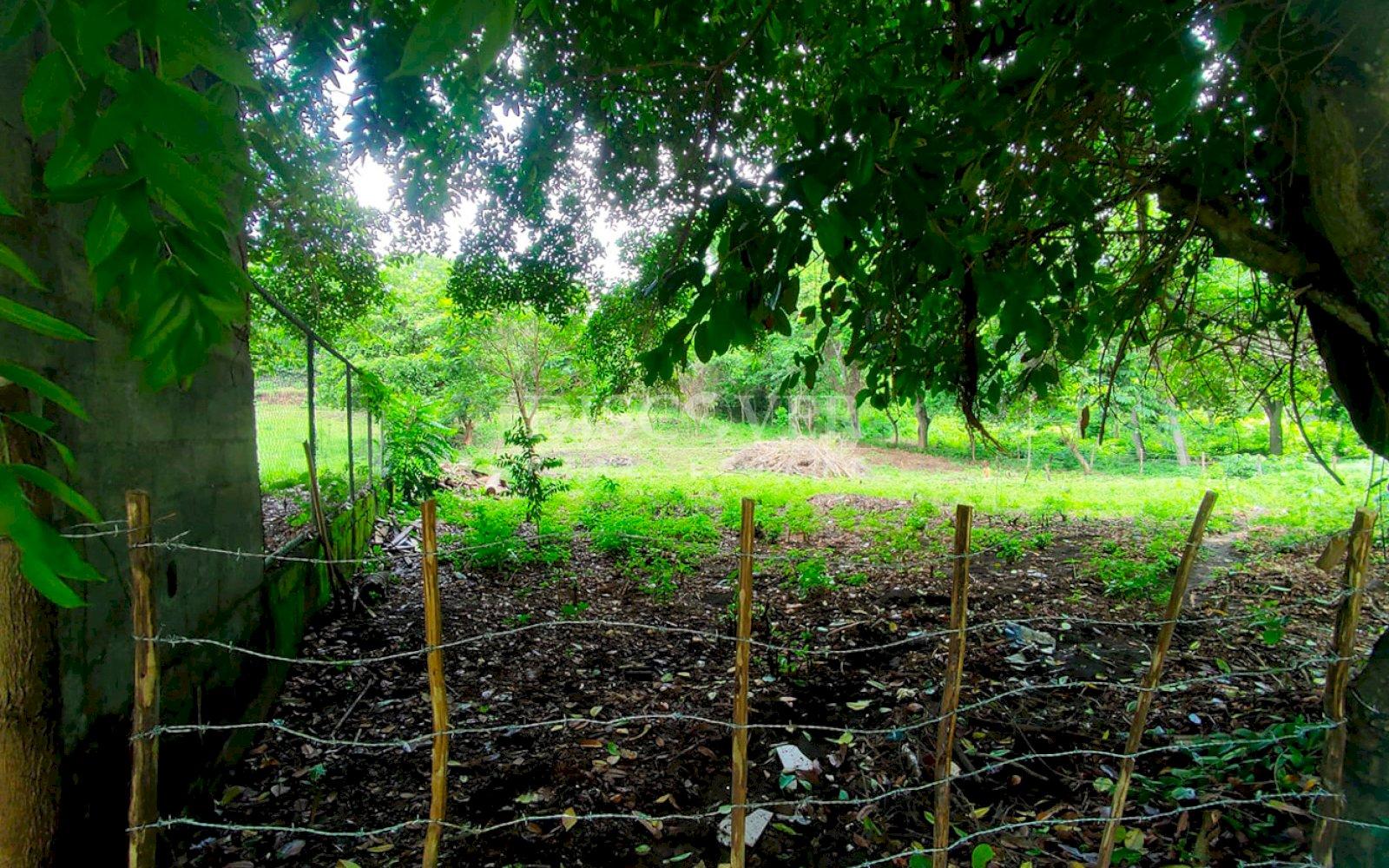  Land for sale in Santo Domingo 