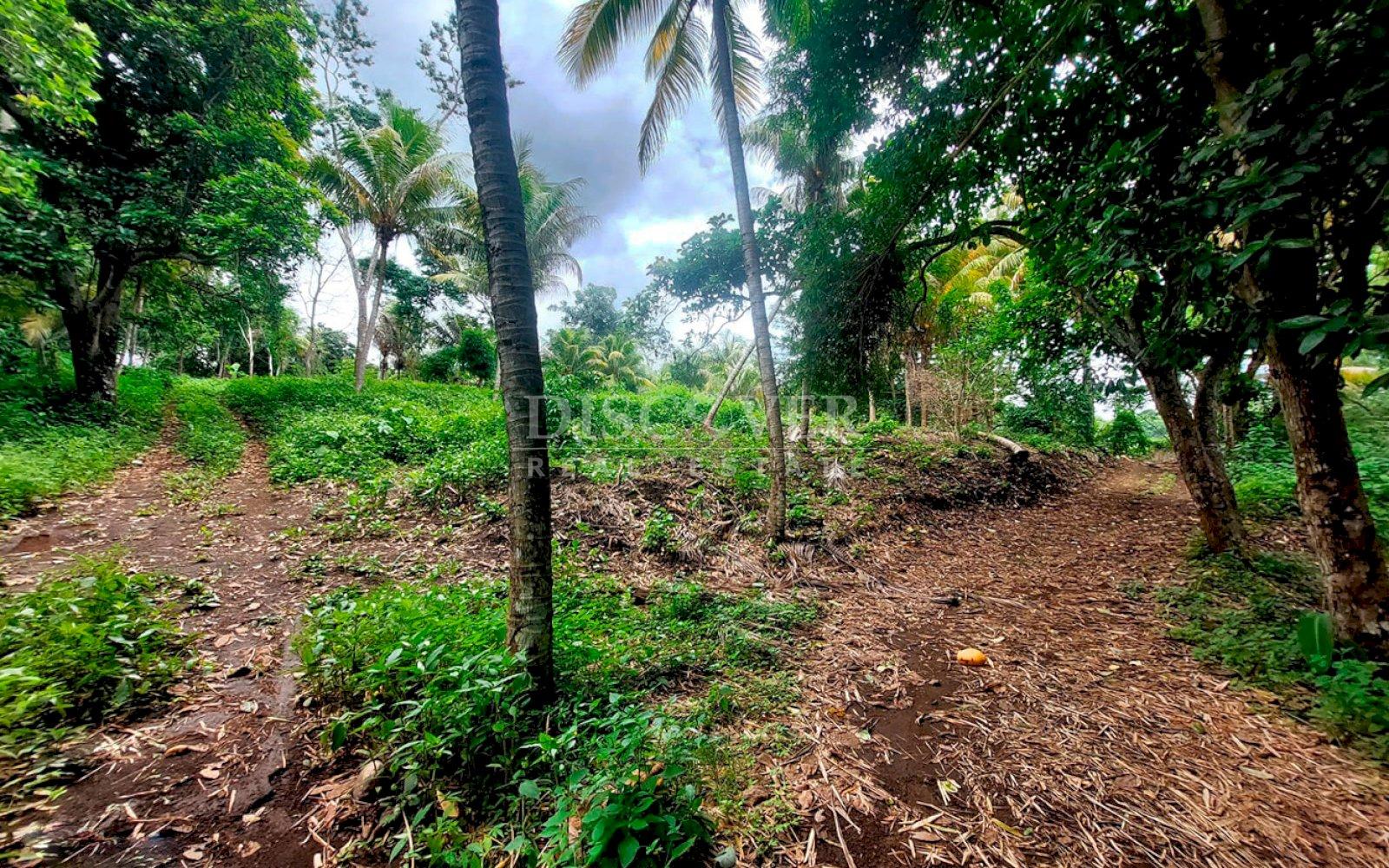  Farm for sale in San Isidro de la Cruz Verde 