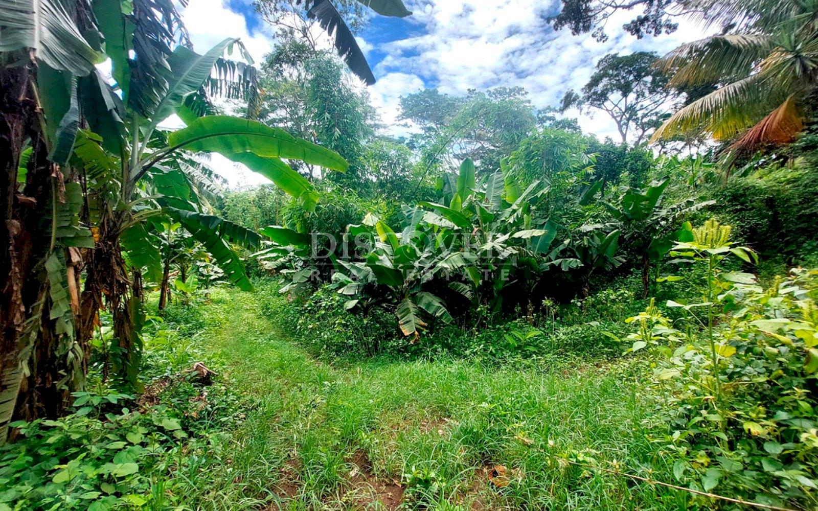  Farm for sale in San Isidro de la Cruz Verde 