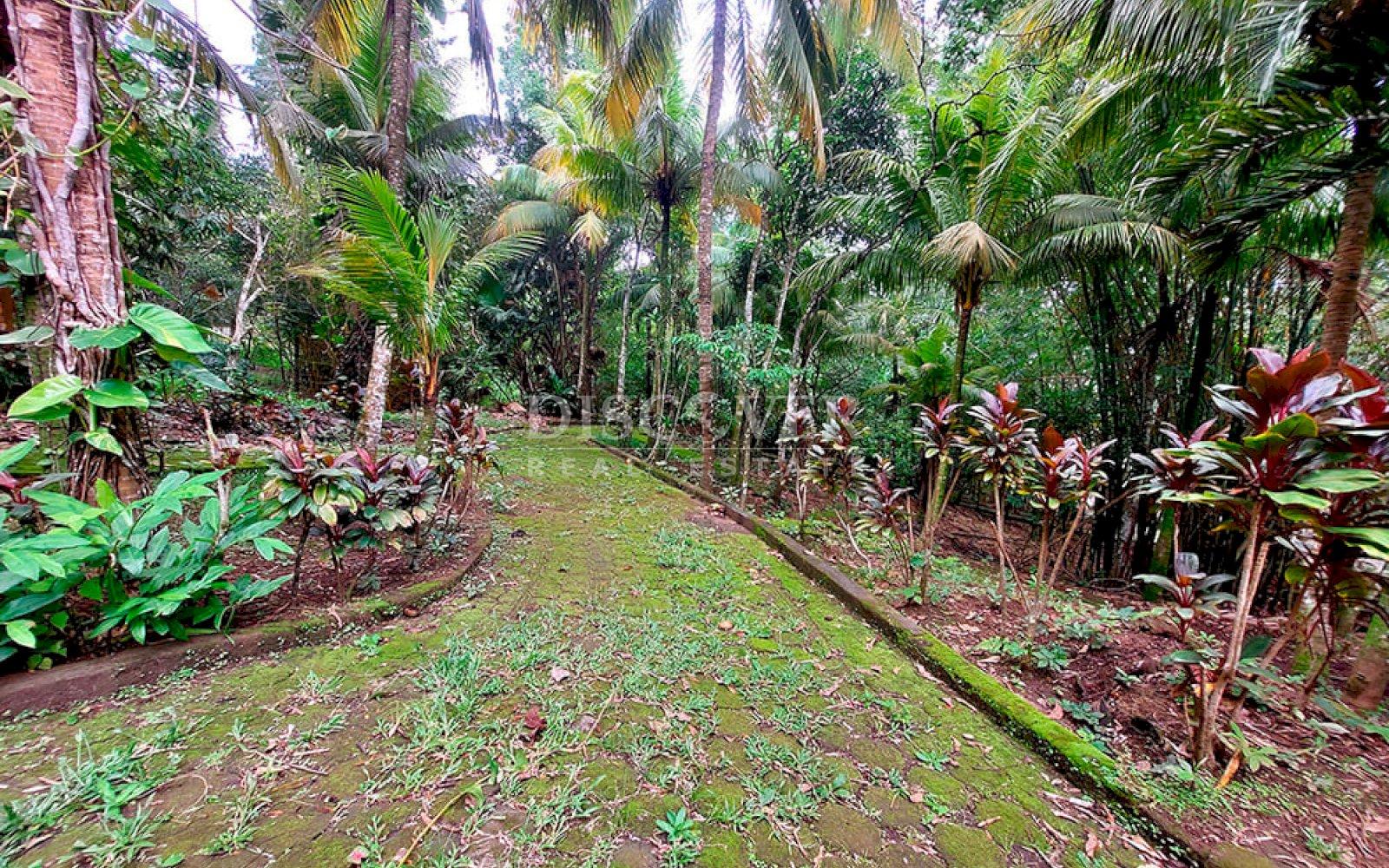  Farm for sale located in Catarina