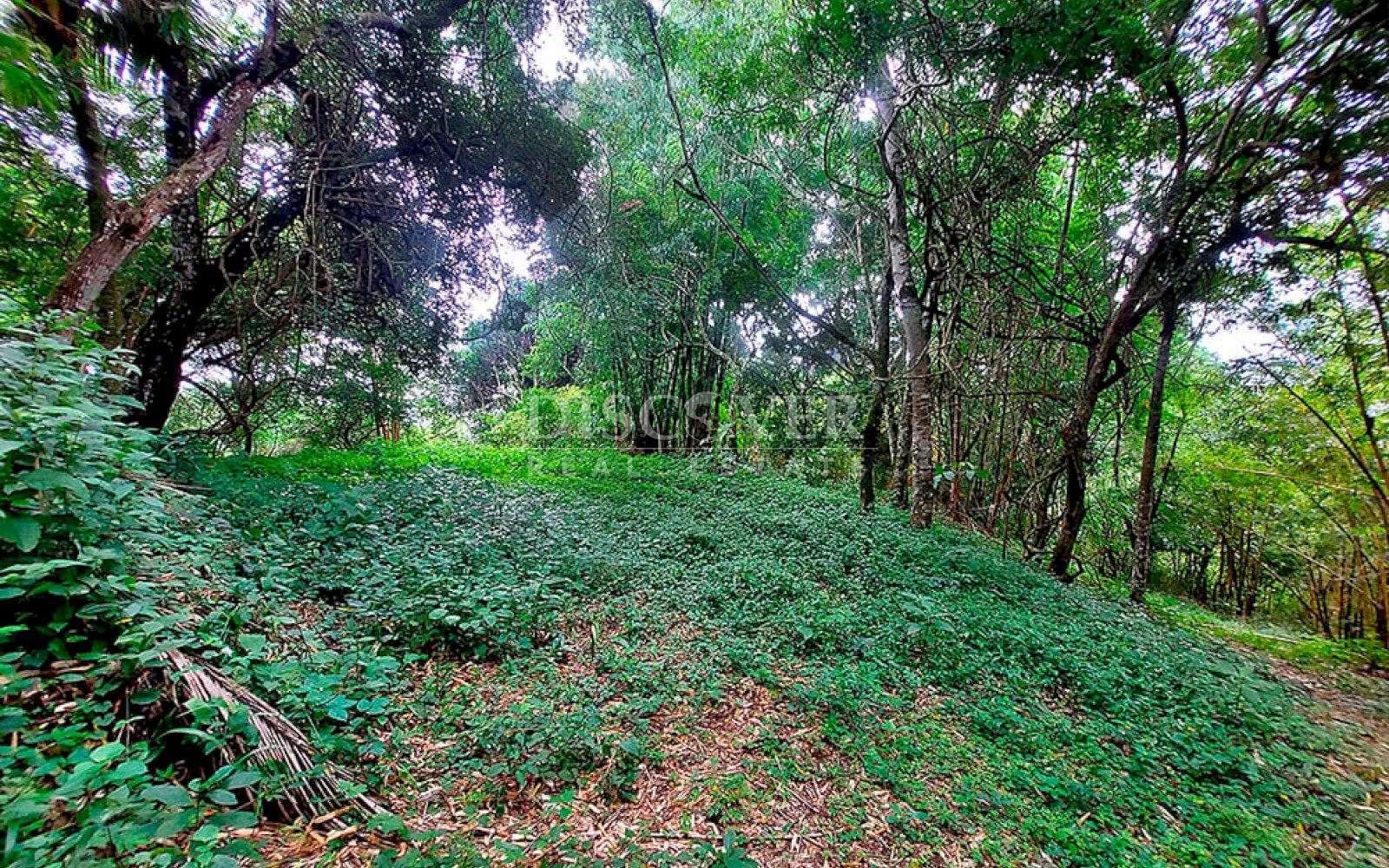  Farm for sale located in Catarina