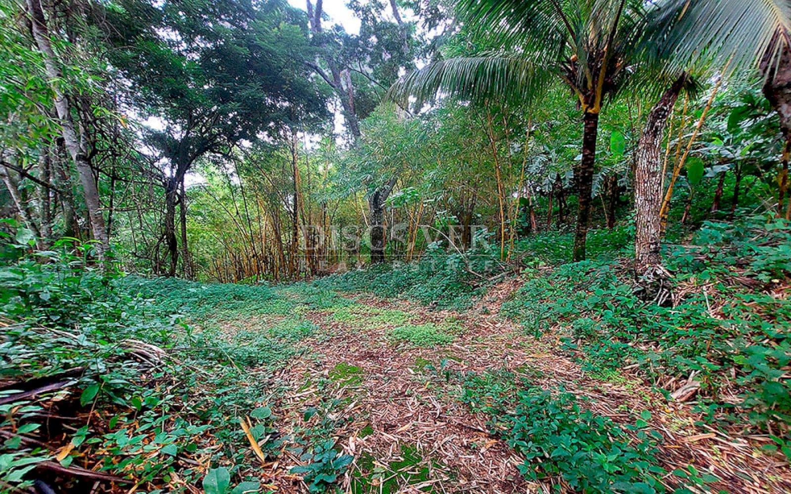  Farm for sale located in Catarina