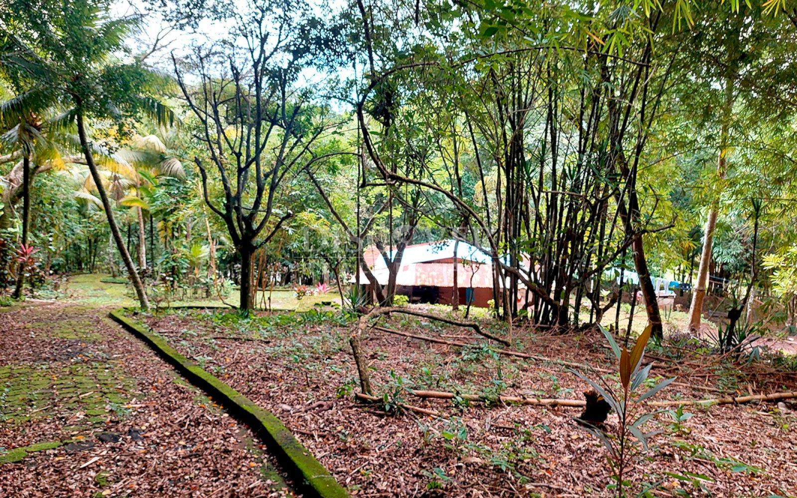  Farm for sale located in Catarina