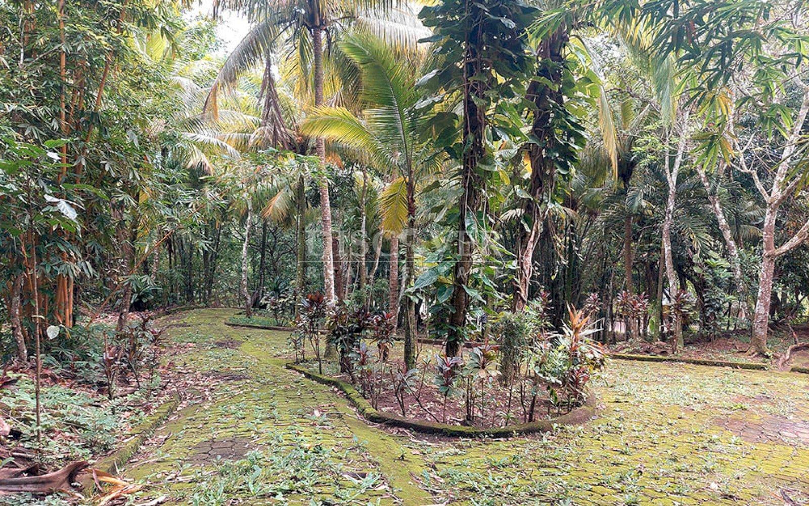  Farm for sale located in Catarina