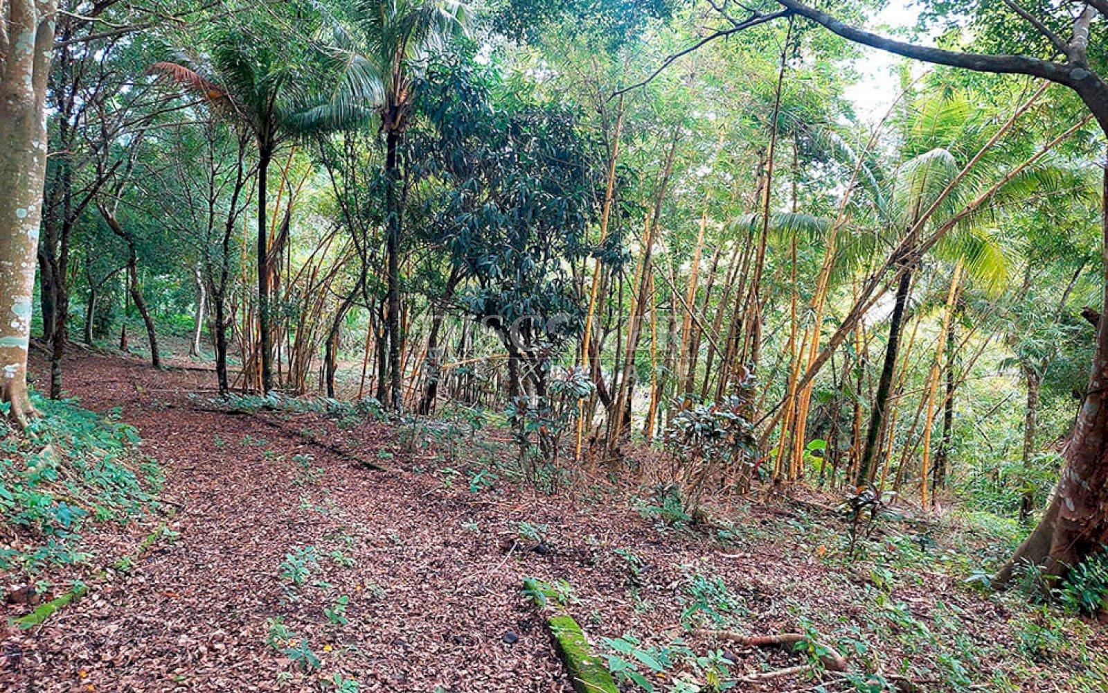  Farm for sale located in Catarina