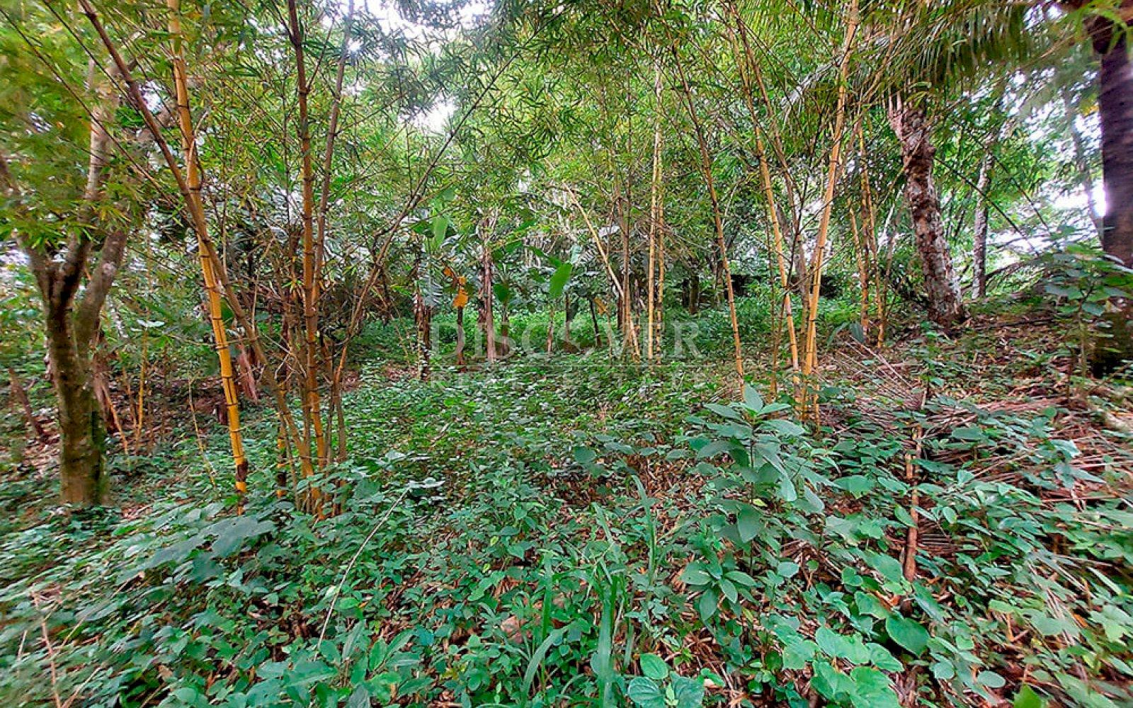  Farm for sale located in Catarina