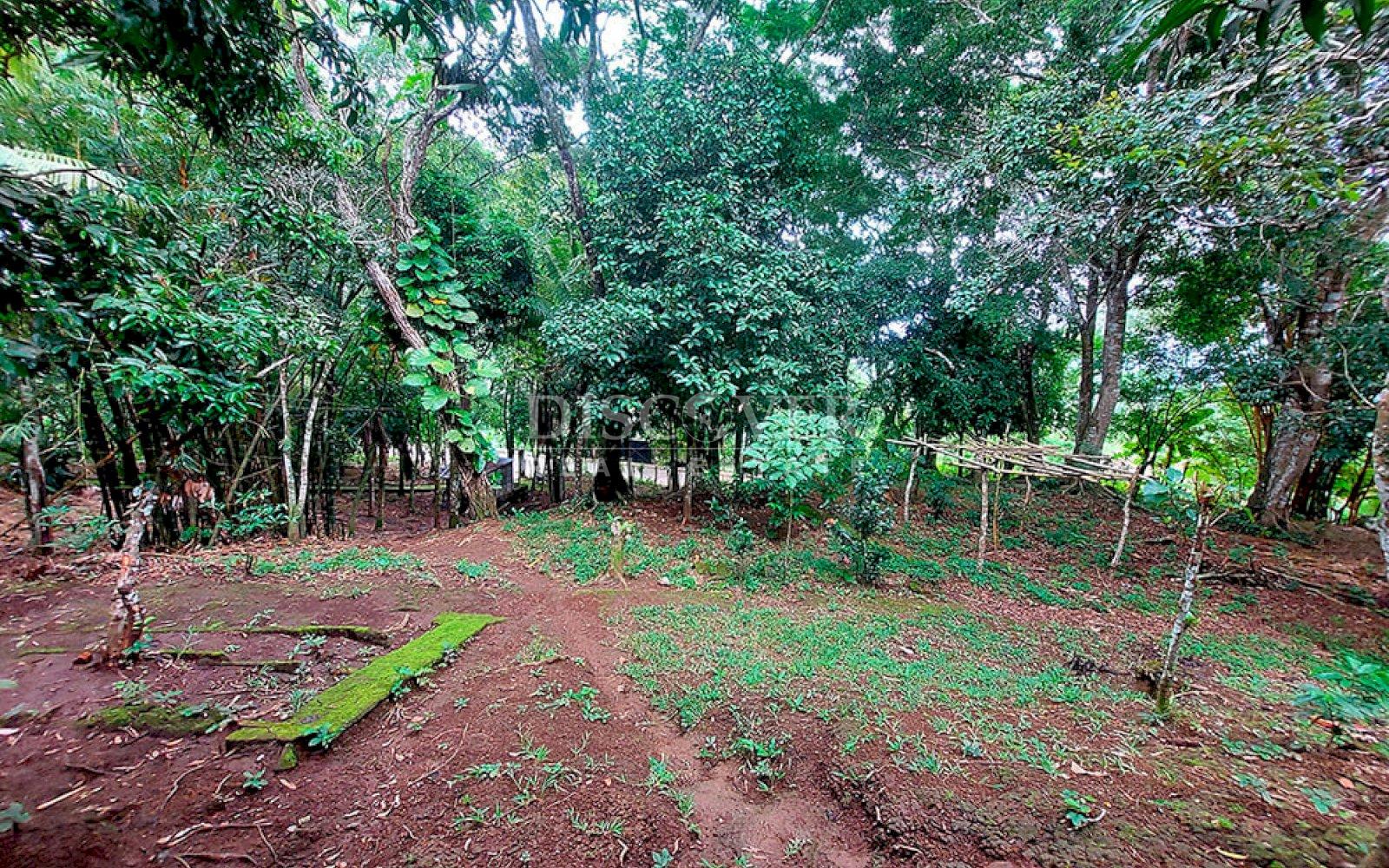  Farm for sale located in Catarina