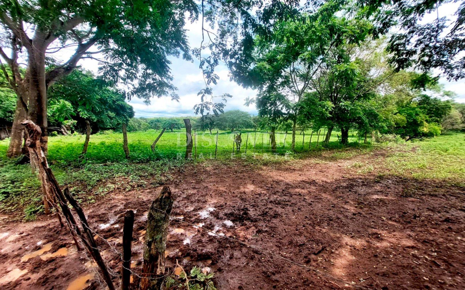 Imagen 4 de la galería