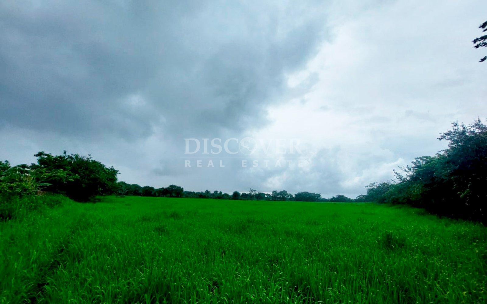  Lot for Sale - New Highway to Granada