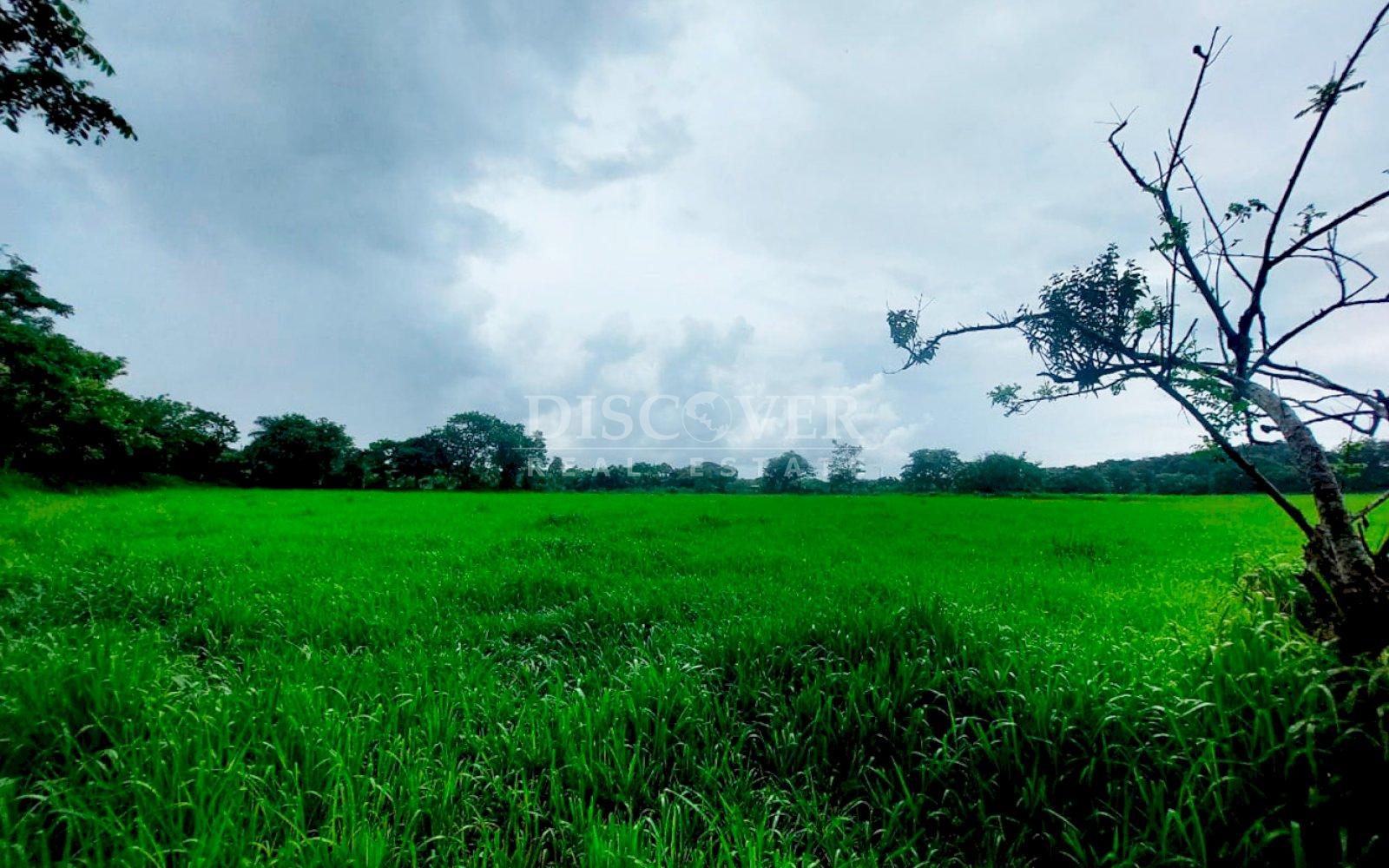  Lot for Sale - New Highway to Granada