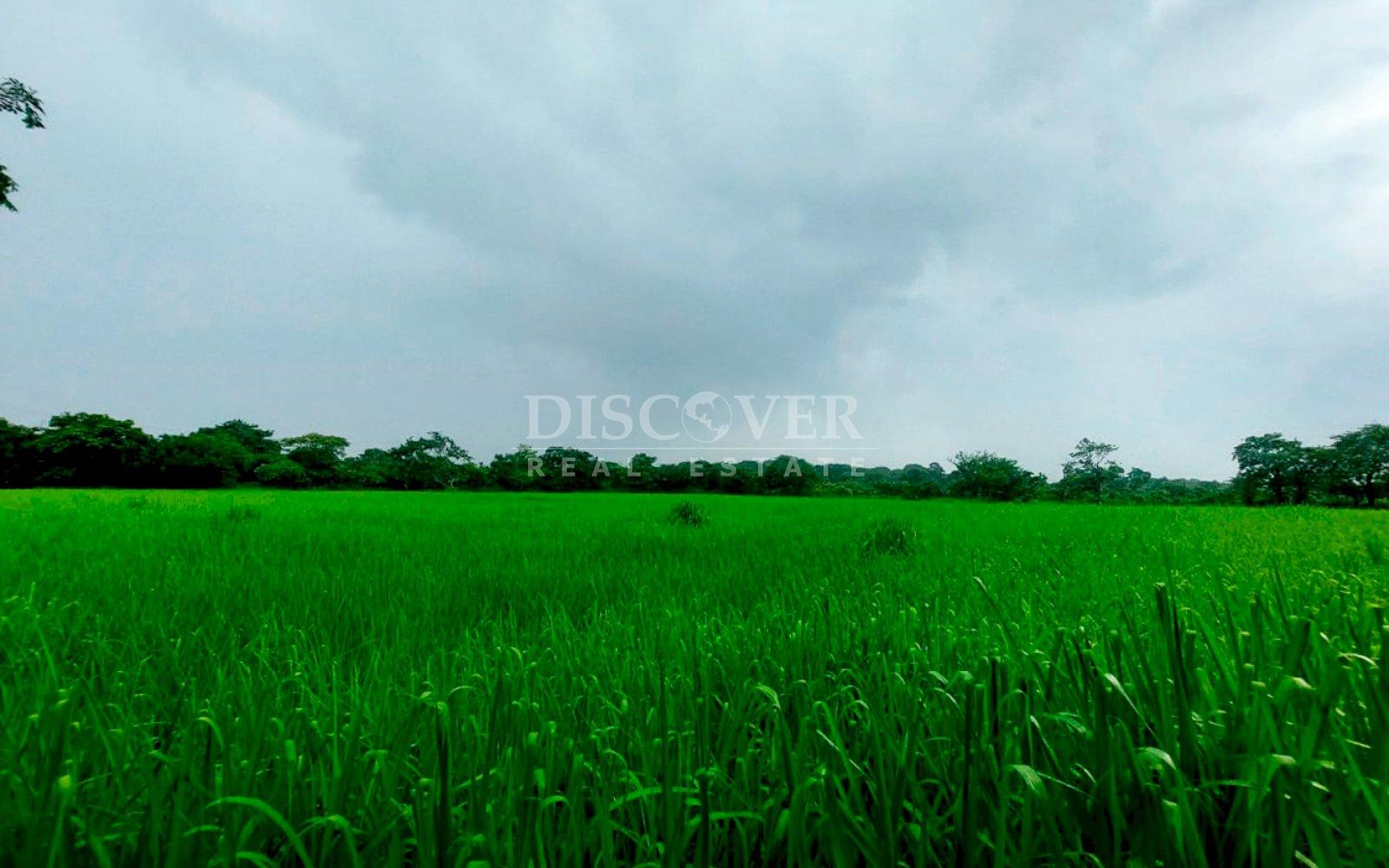  Lot for Sale - New Highway to Granada