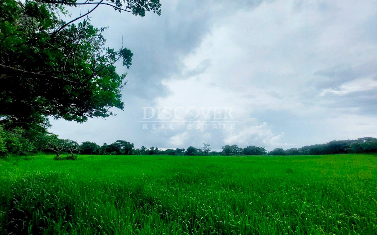  Lot for Sale - New Highway to Granada