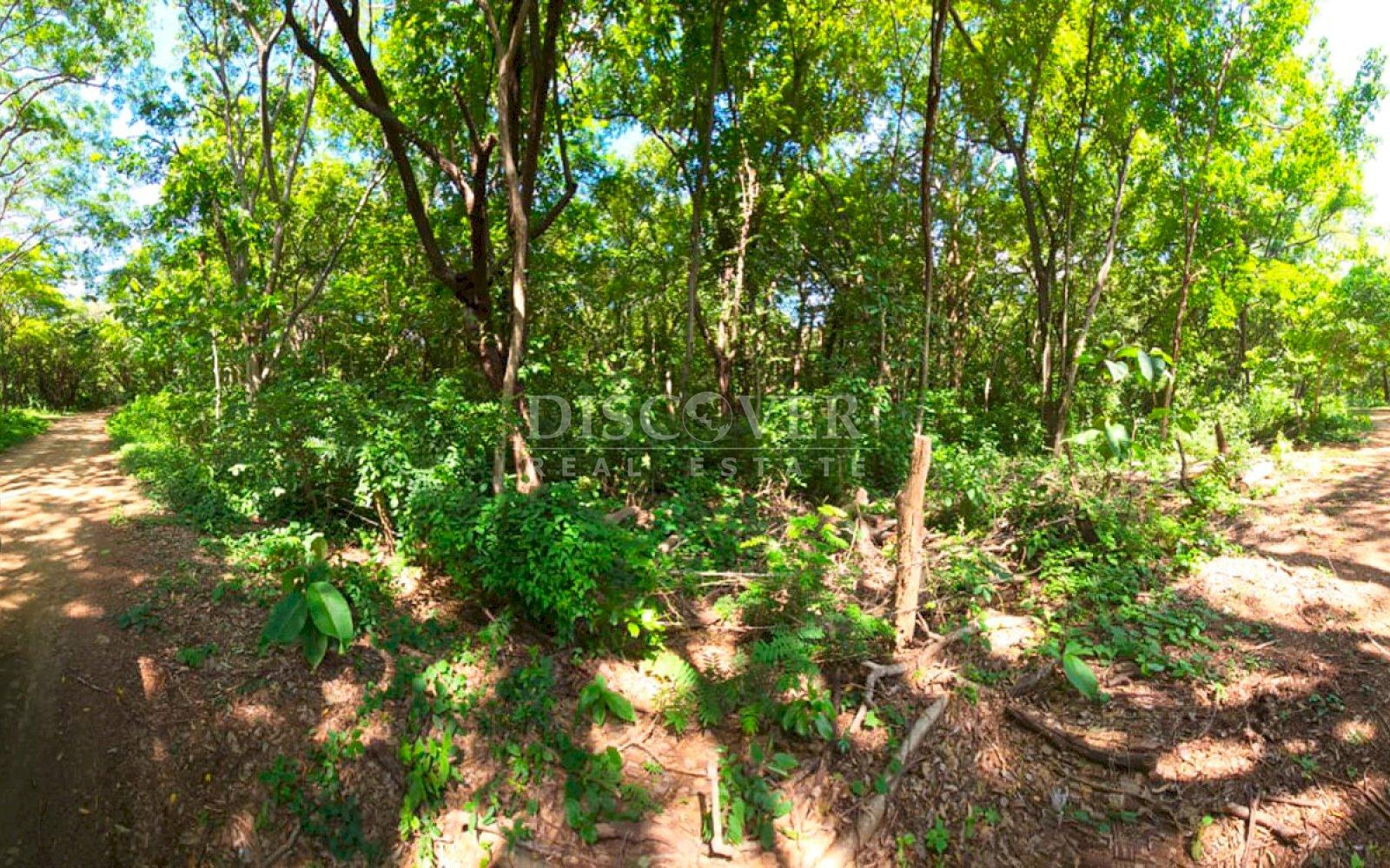 Imagen 1 de la galería