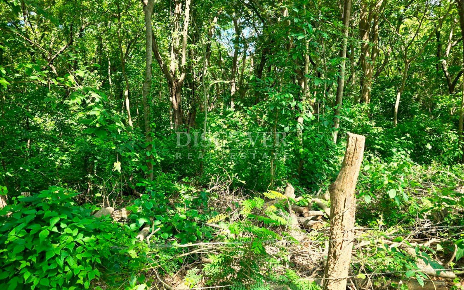 Imagen 2 de la galería