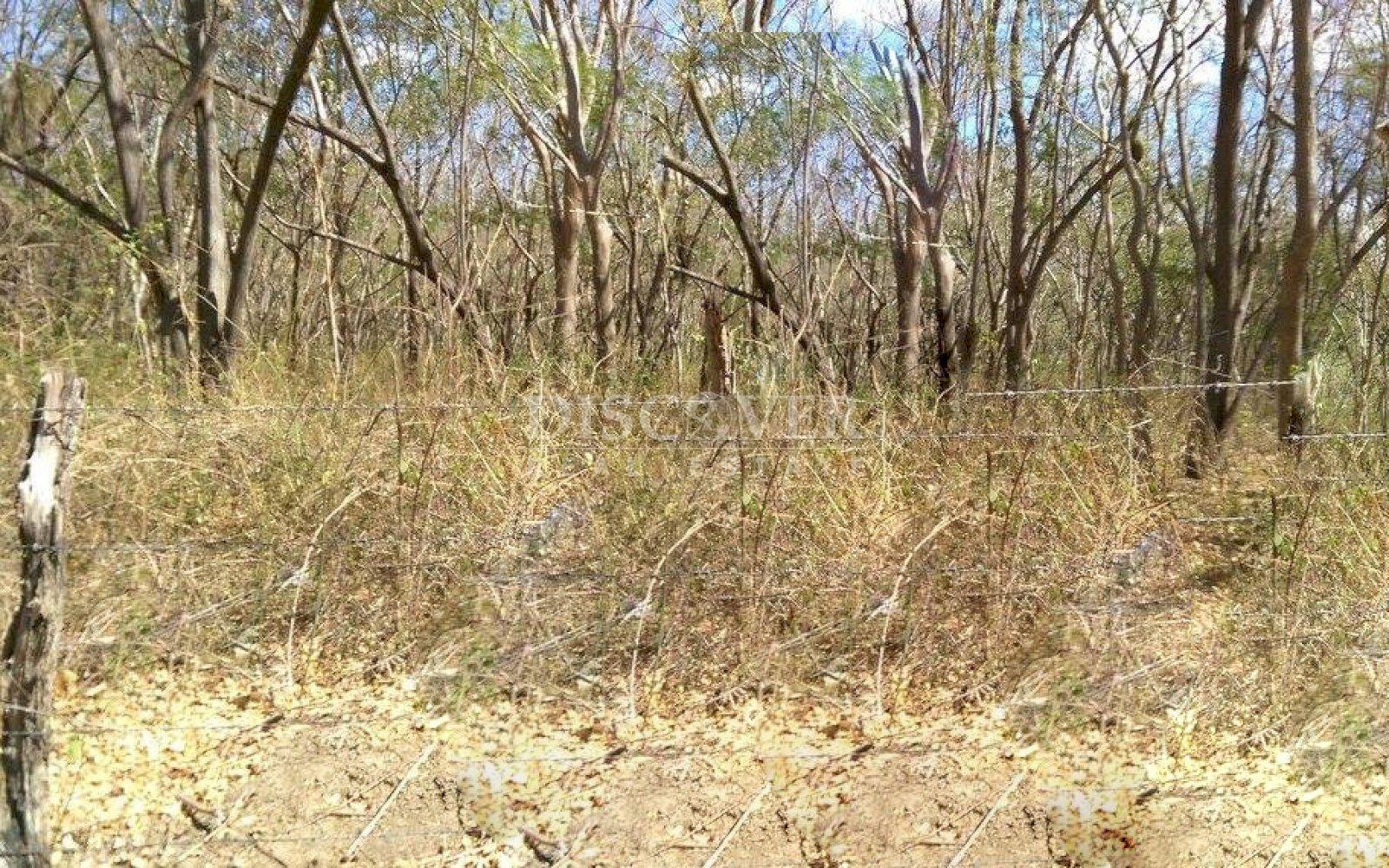 Imagen 3 de la galería