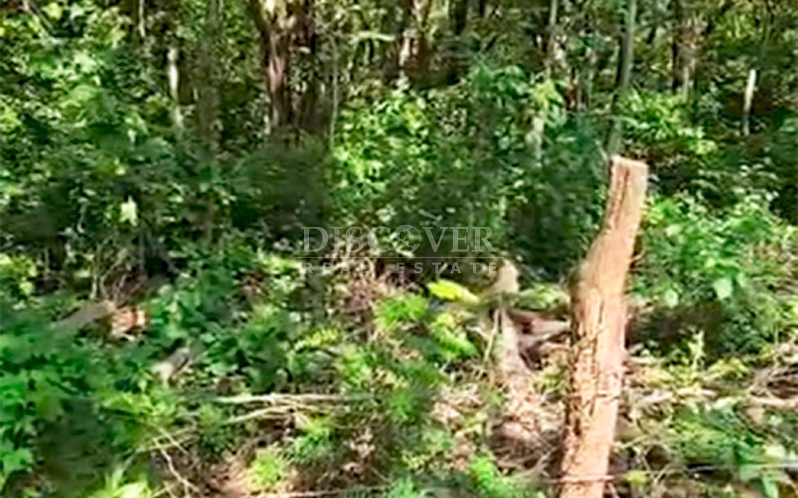 Imagen 4 de la galería