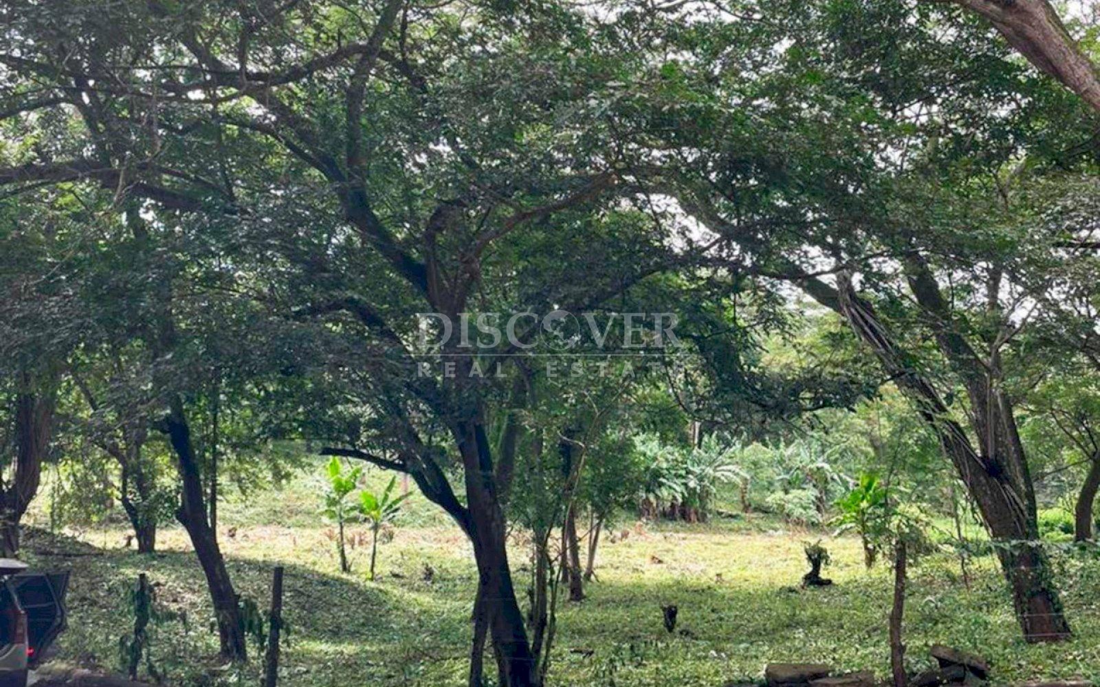 https://images.discovernica.com/propiedad/1600/ID13746.jpg