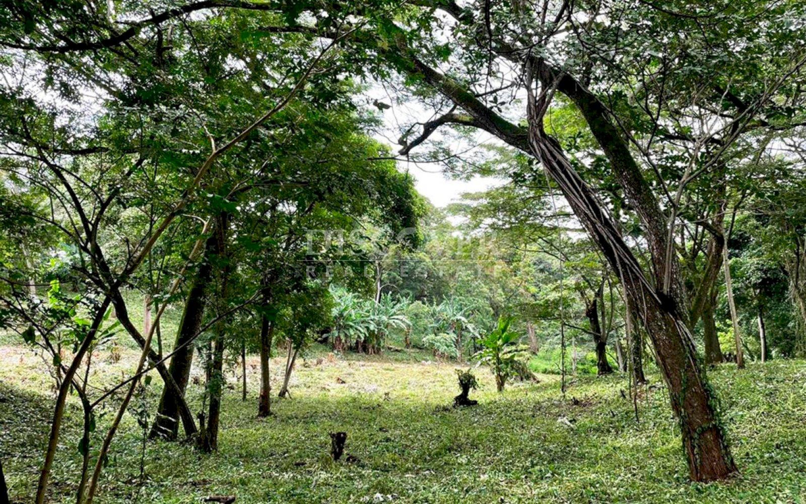 https://images.discovernica.com/propiedad/1600/ID13746_2.jpg