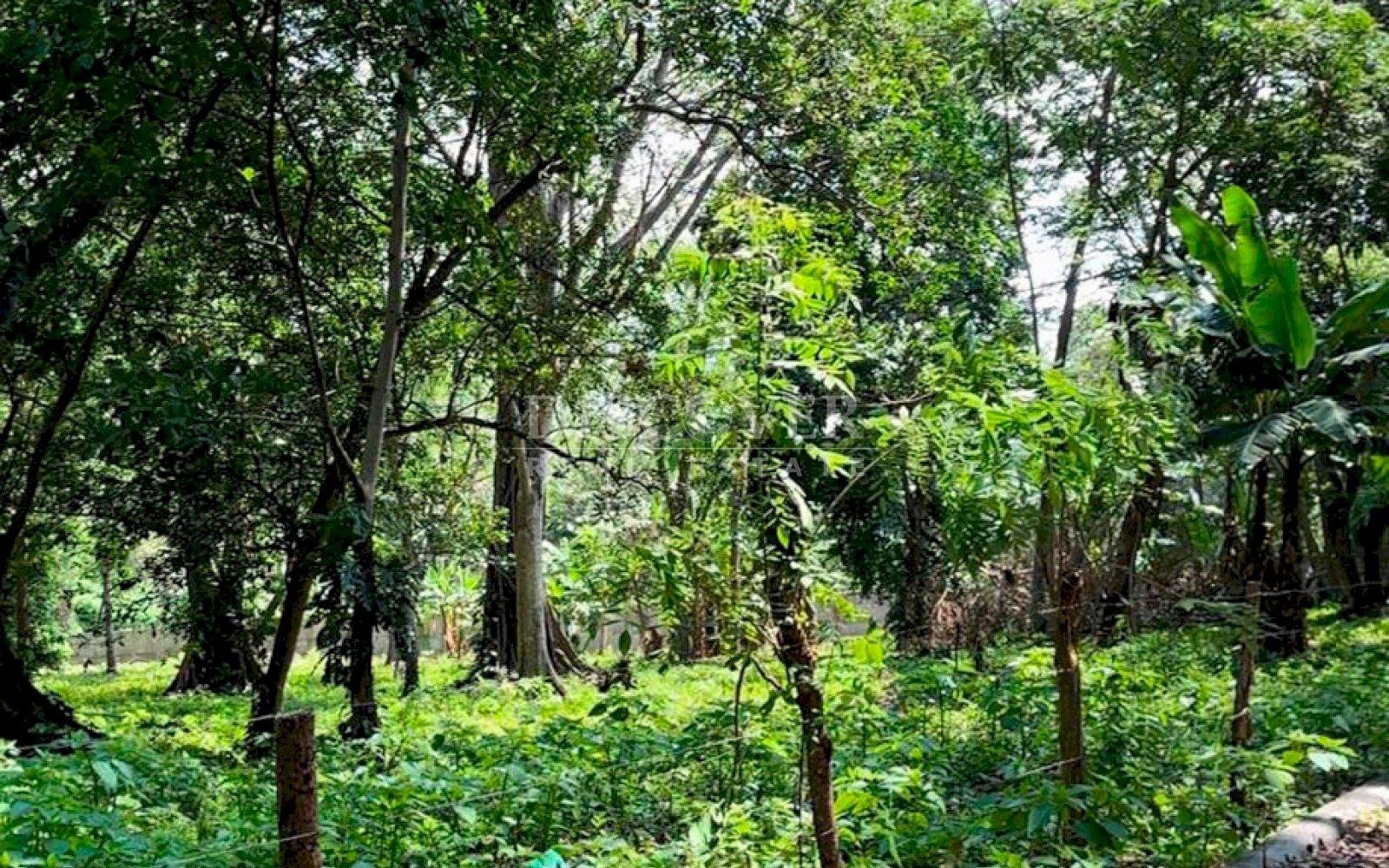 https://images.discovernica.com/propiedad/1600/ID13746_3.jpg