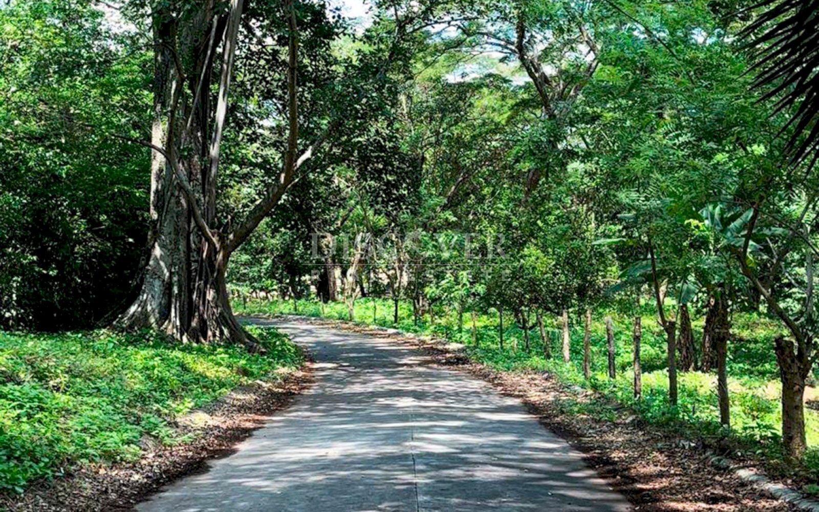 https://images.discovernica.com/propiedad/1600/ID13746_4.jpg