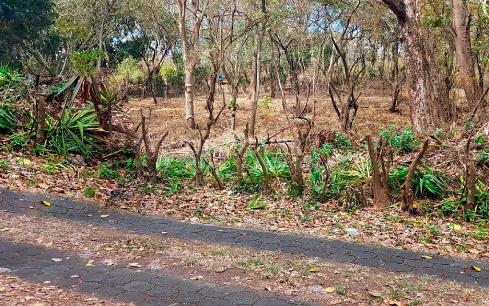 https://images.discovernica.com/propiedad/1600/ID13749_5_.jpg
