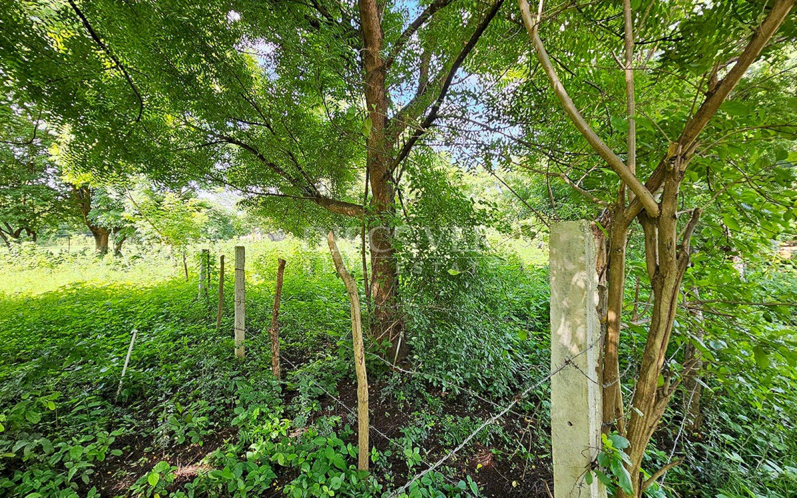 Imagen 4 de la galería