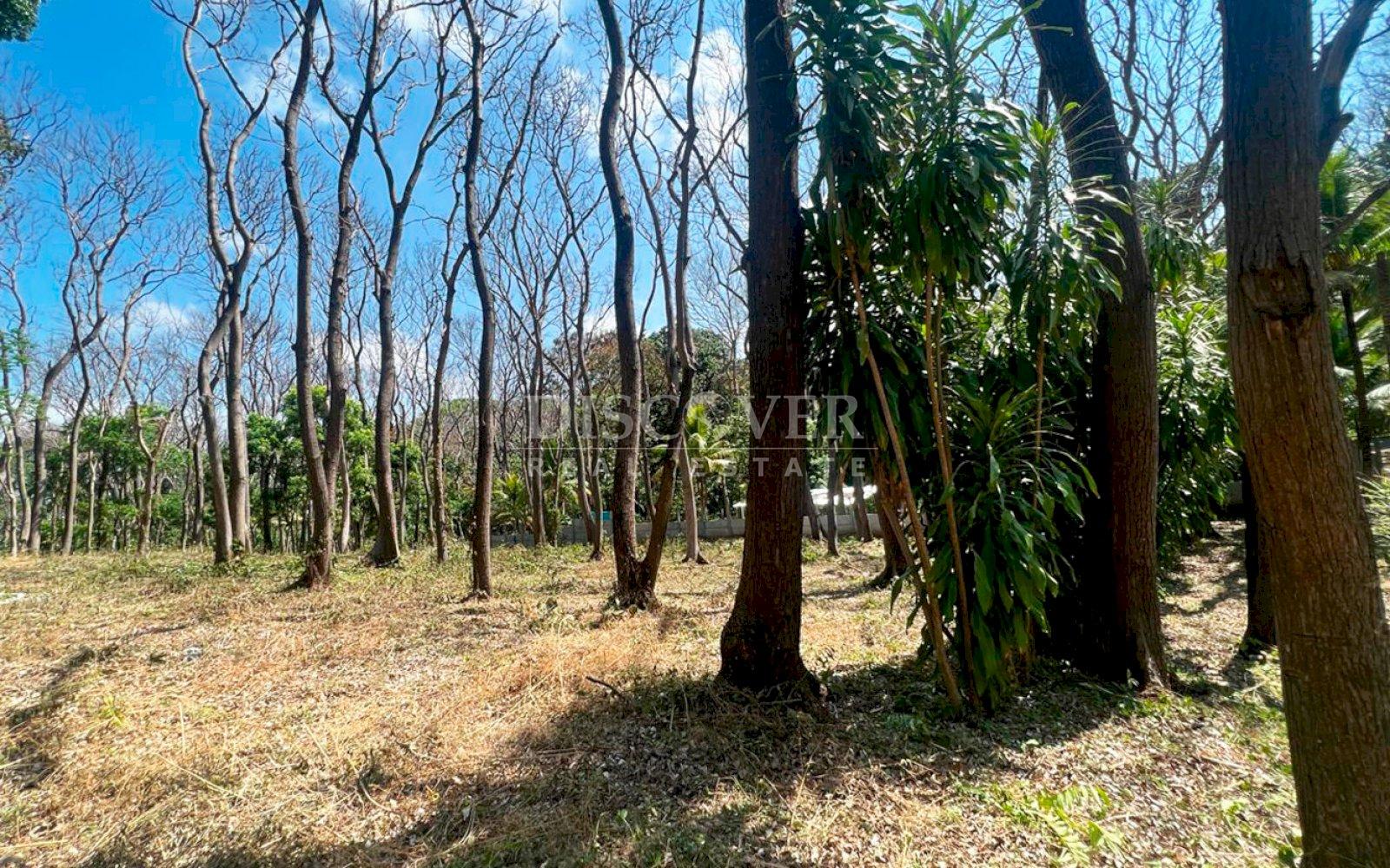 https://images.discovernica.com/propiedad/1600/ID13772_1.jpg