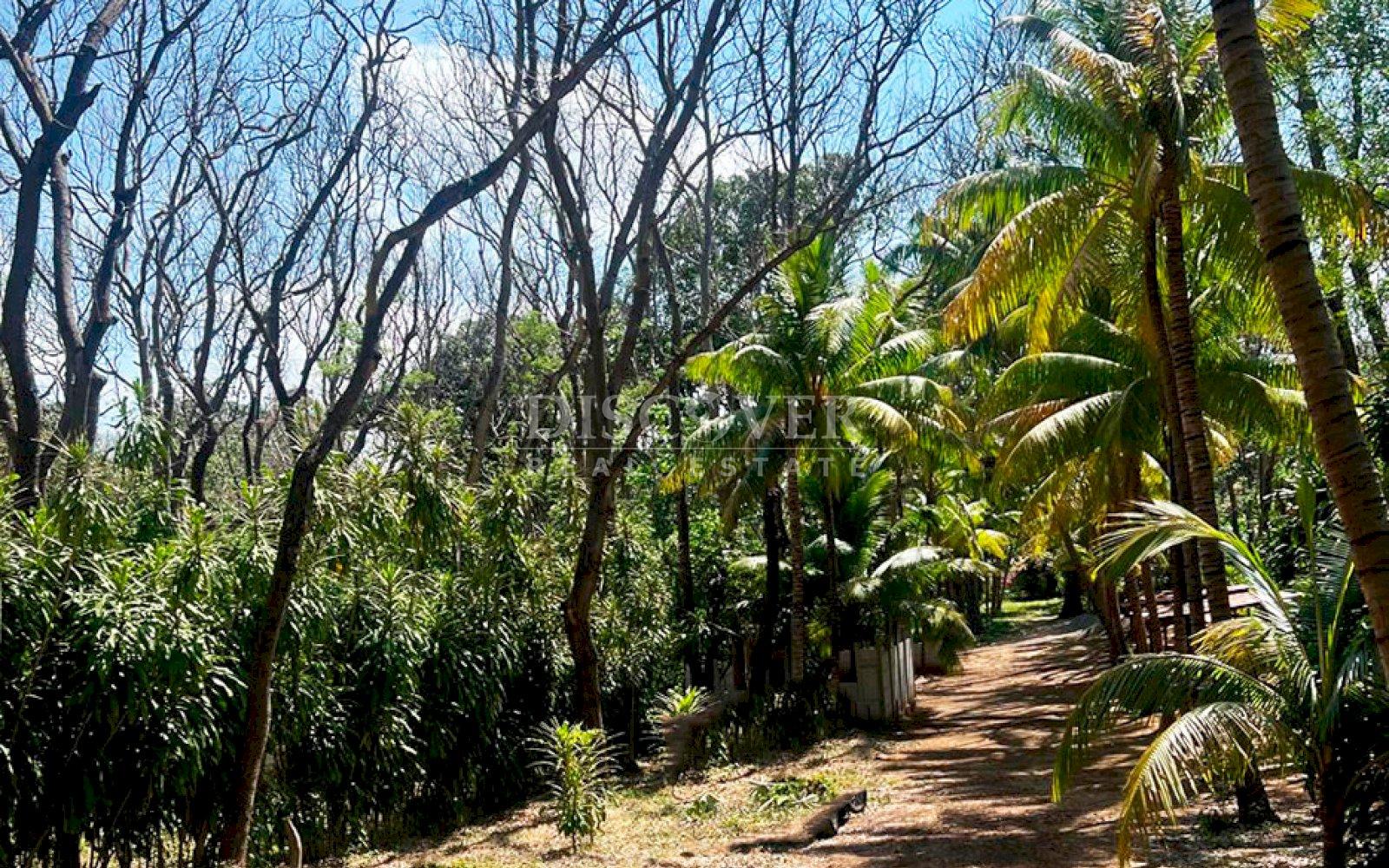 https://images.discovernica.com/propiedad/1600/ID13772_2.jpg