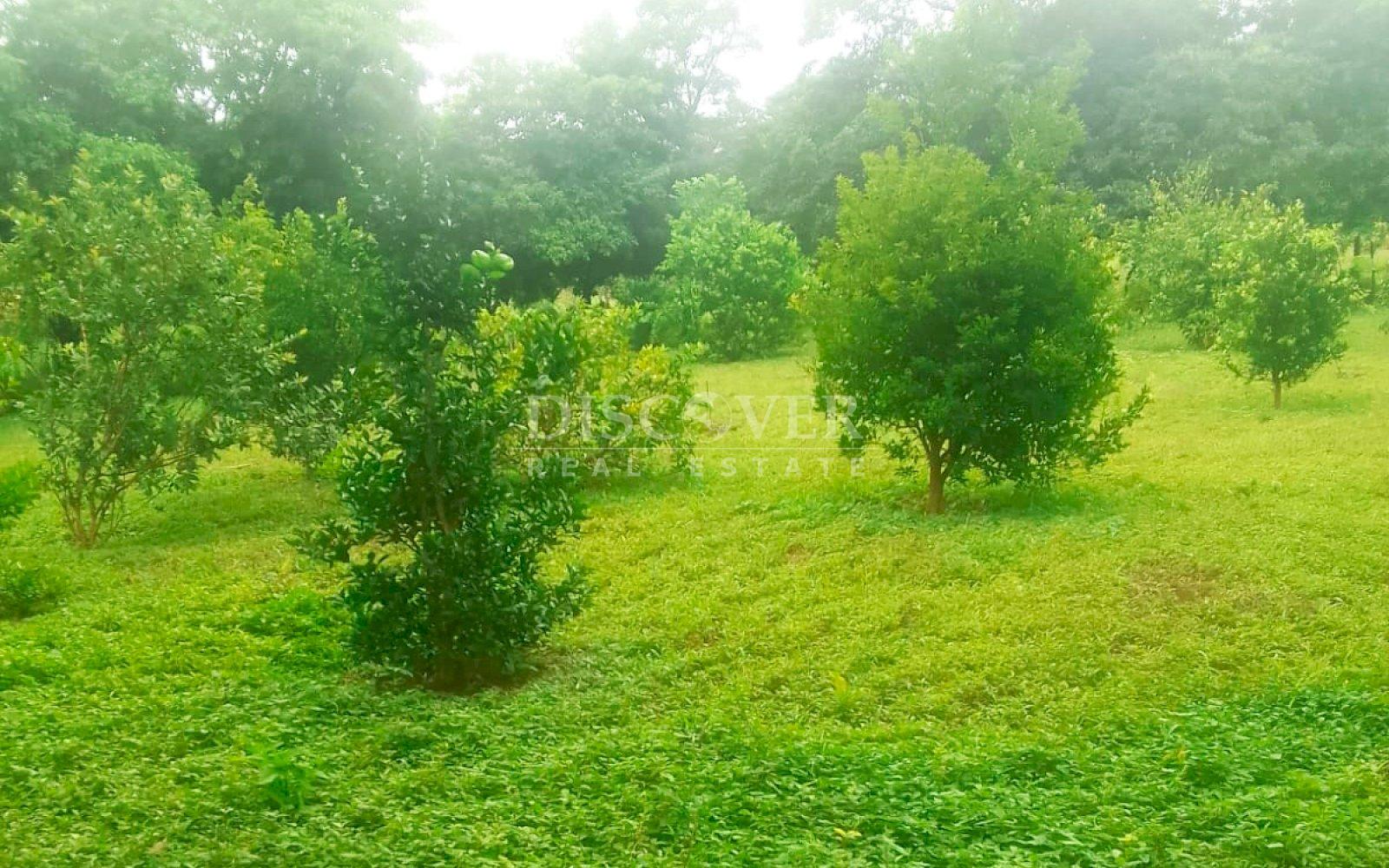 https://images.discovernica.com/propiedad/1600/ID13772_4.jpg