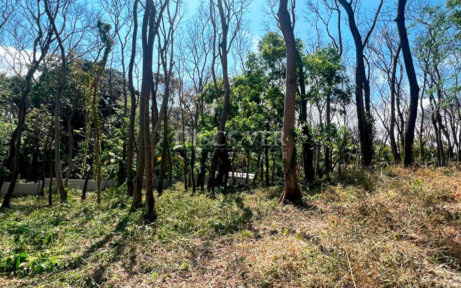 https://images.discovernica.com/propiedad/1600/ID13772_4_1.jpg