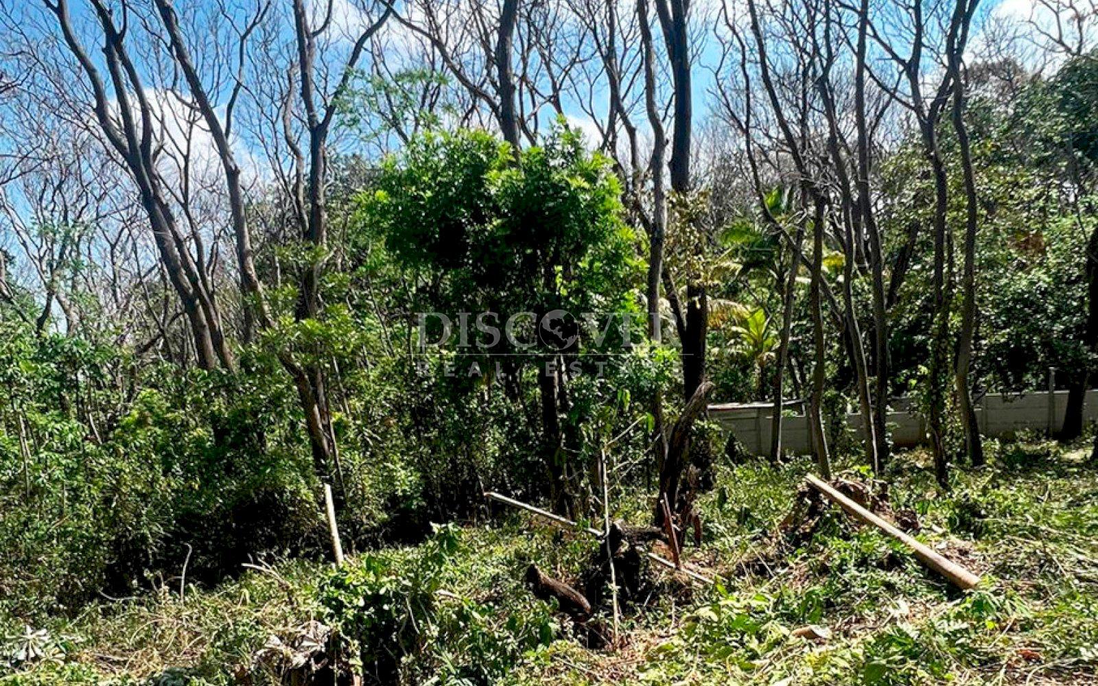 https://images.discovernica.com/propiedad/1600/ID13772_5.jpg