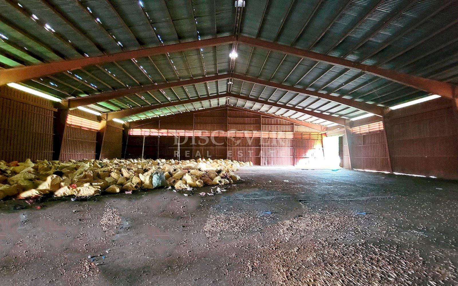 Imagen 5 de la galería
