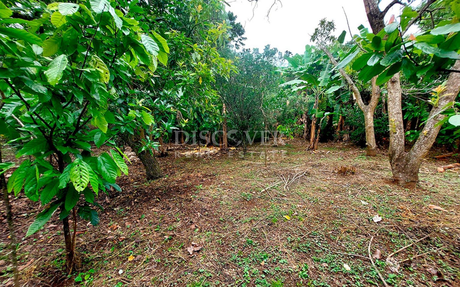  Land for sale in the Pacayita region