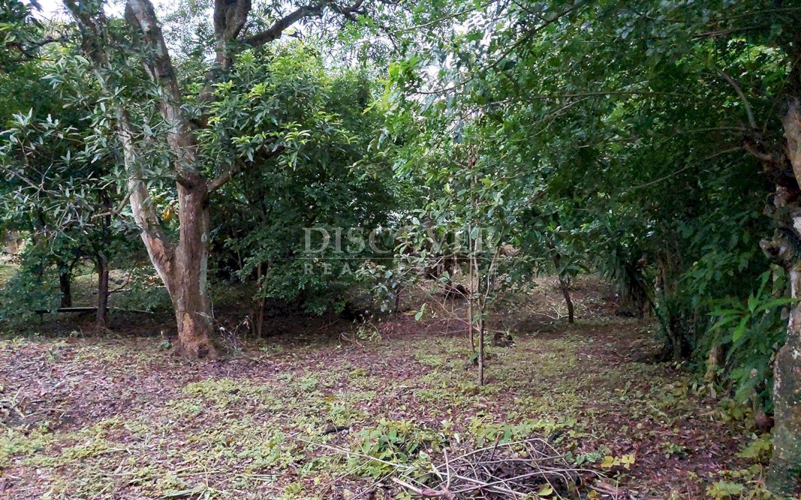  Land for sale in the Pacayita region